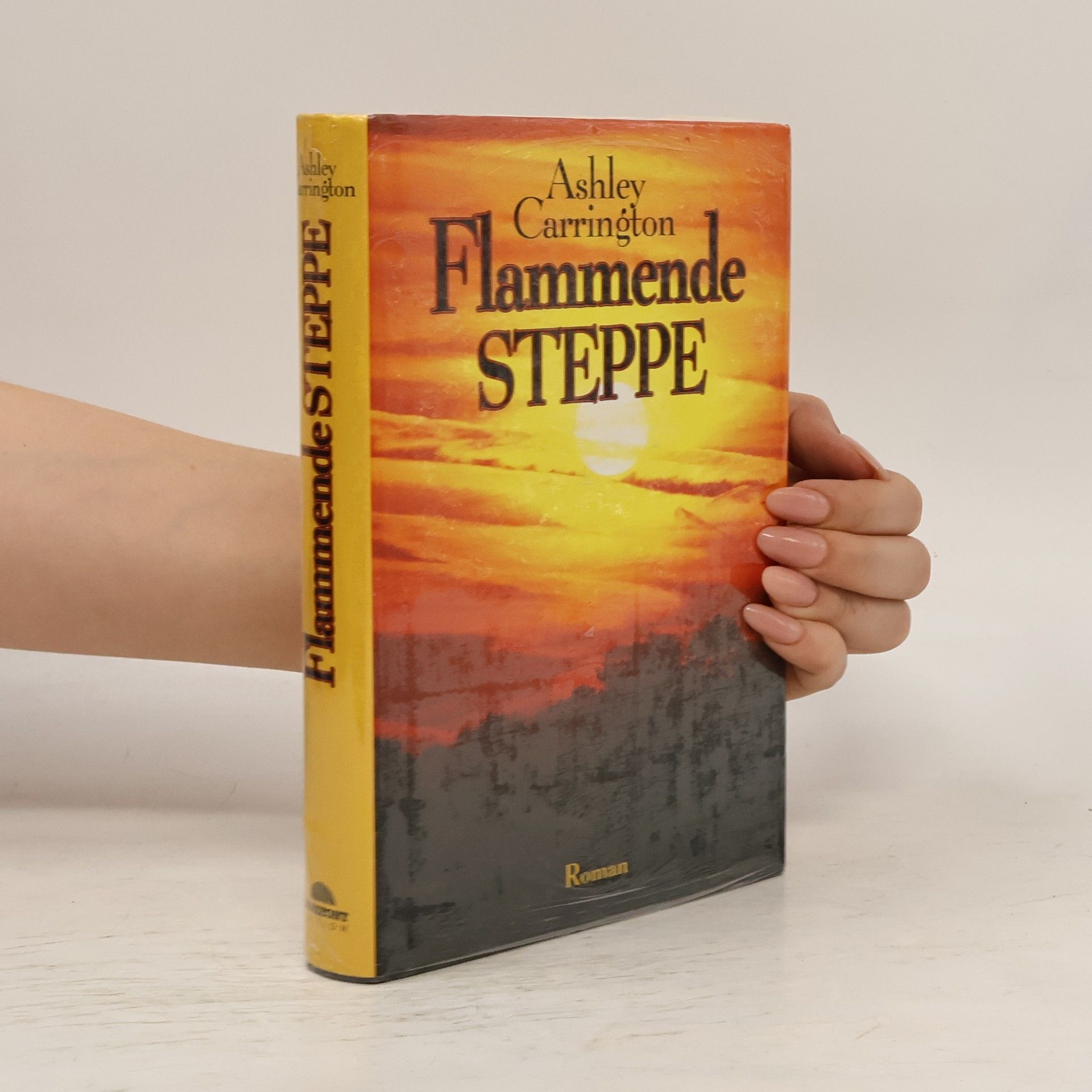 Rainer M. Schröder Flammende Steppe