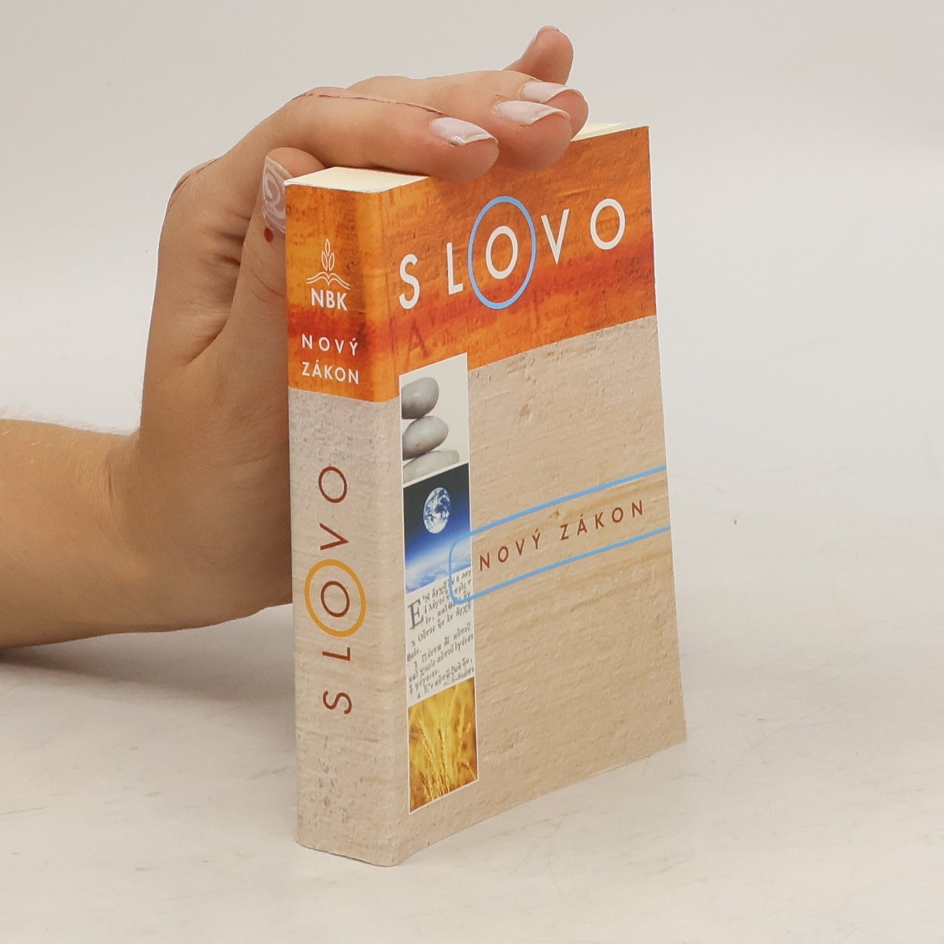 Alexandr Flek Nový zákon: Nová Bible kralická
