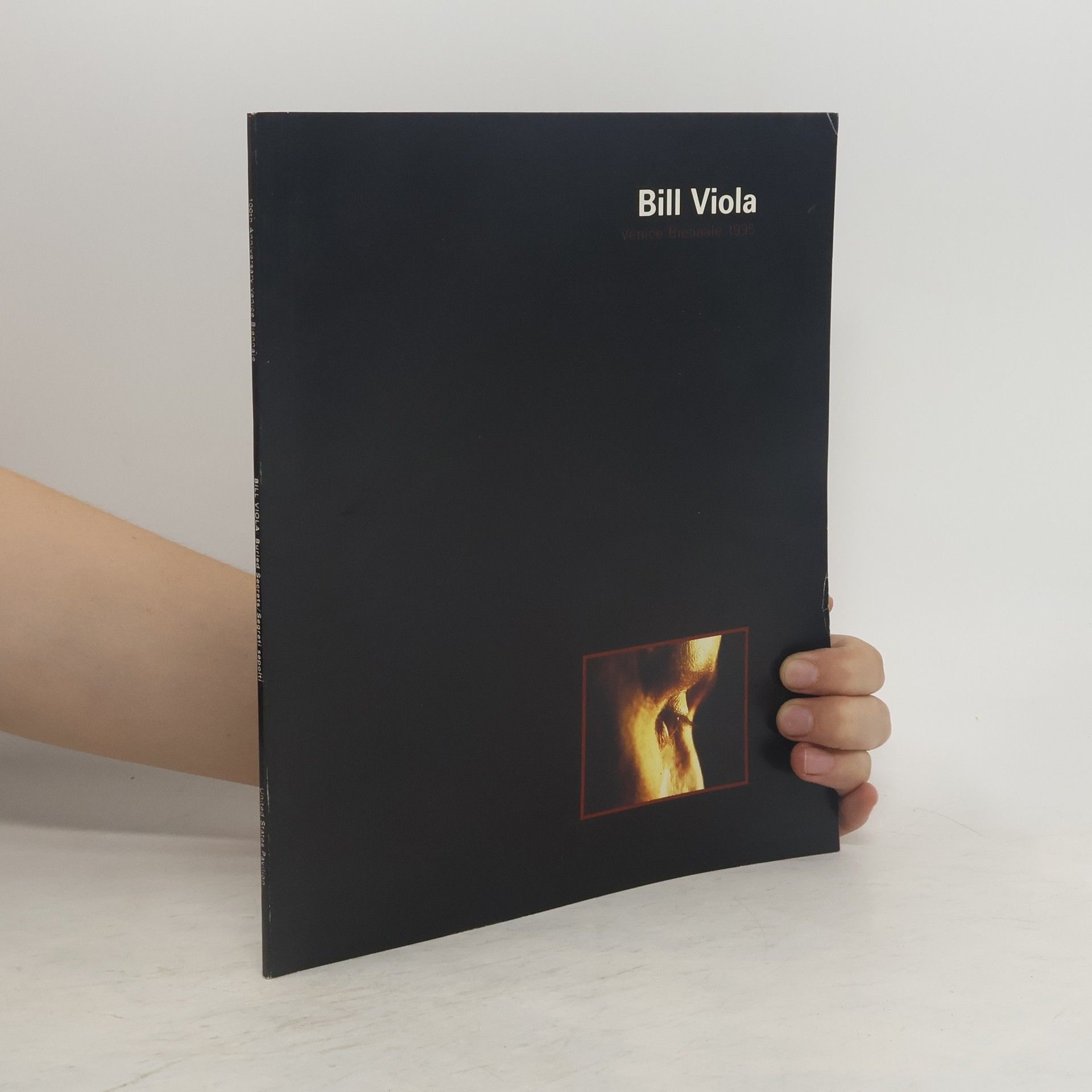 Bill Viola Buried Secrets. Segreti sepolti