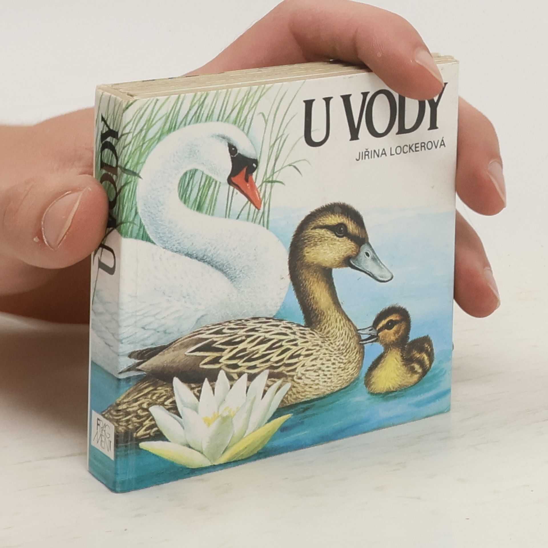 Jiřina Lockerová U vody