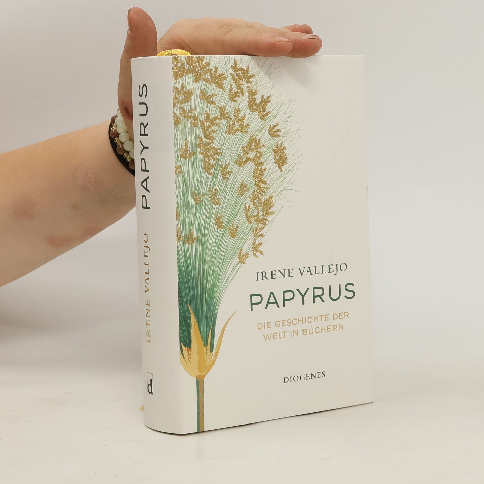 Irene Vallejo Papyrus