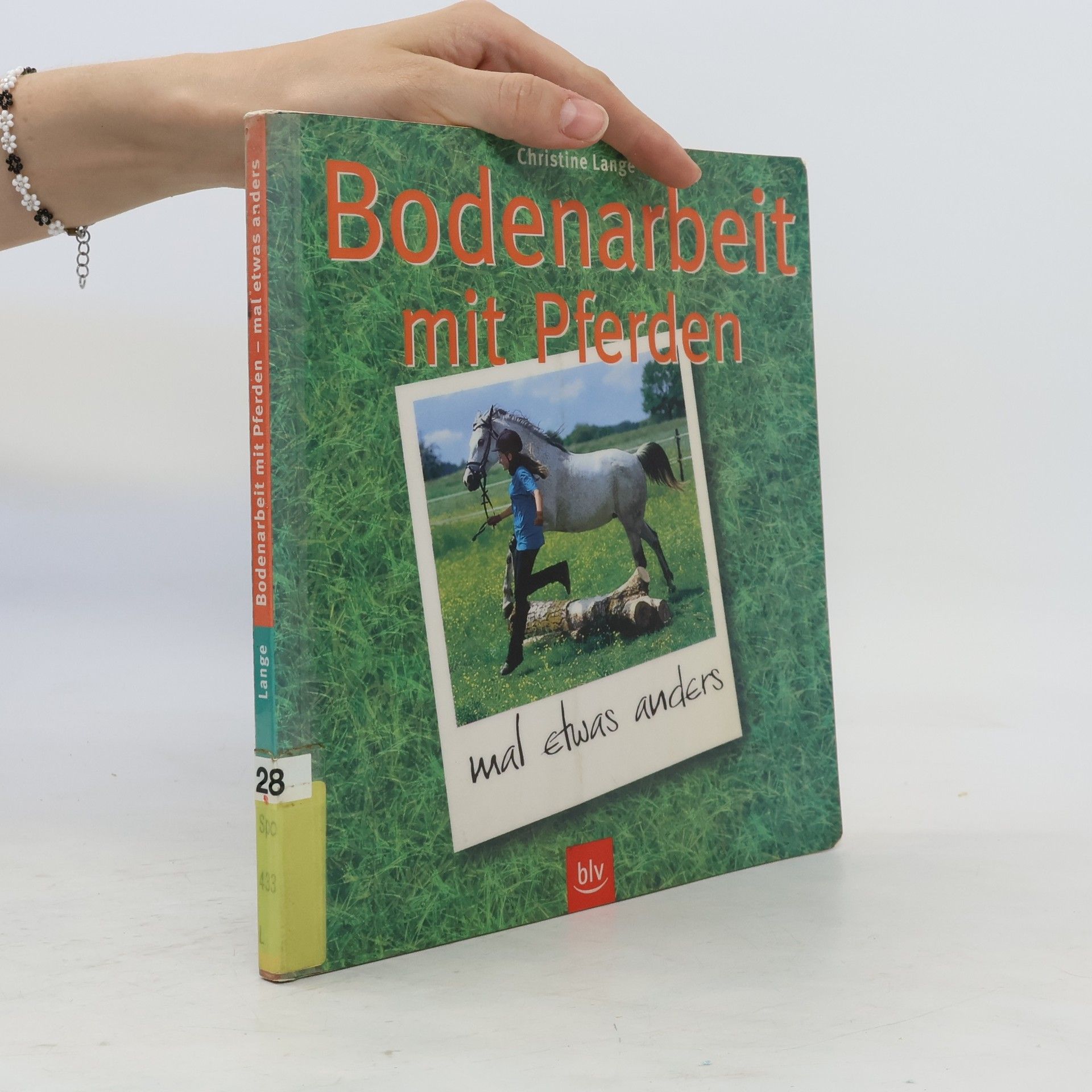 Christine Lange Bodenarbeit mit Pferden - mal etwas anders