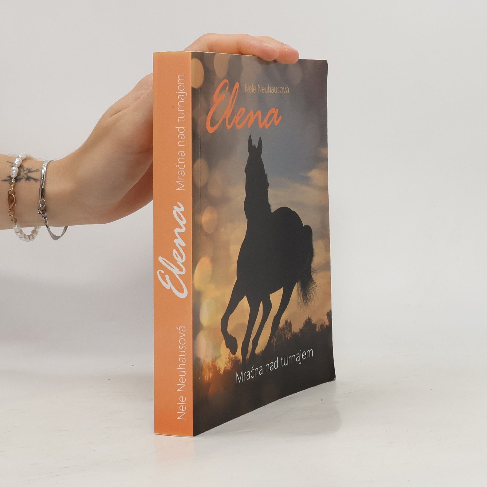 Nele Neuhaus Mračna nad turnajem