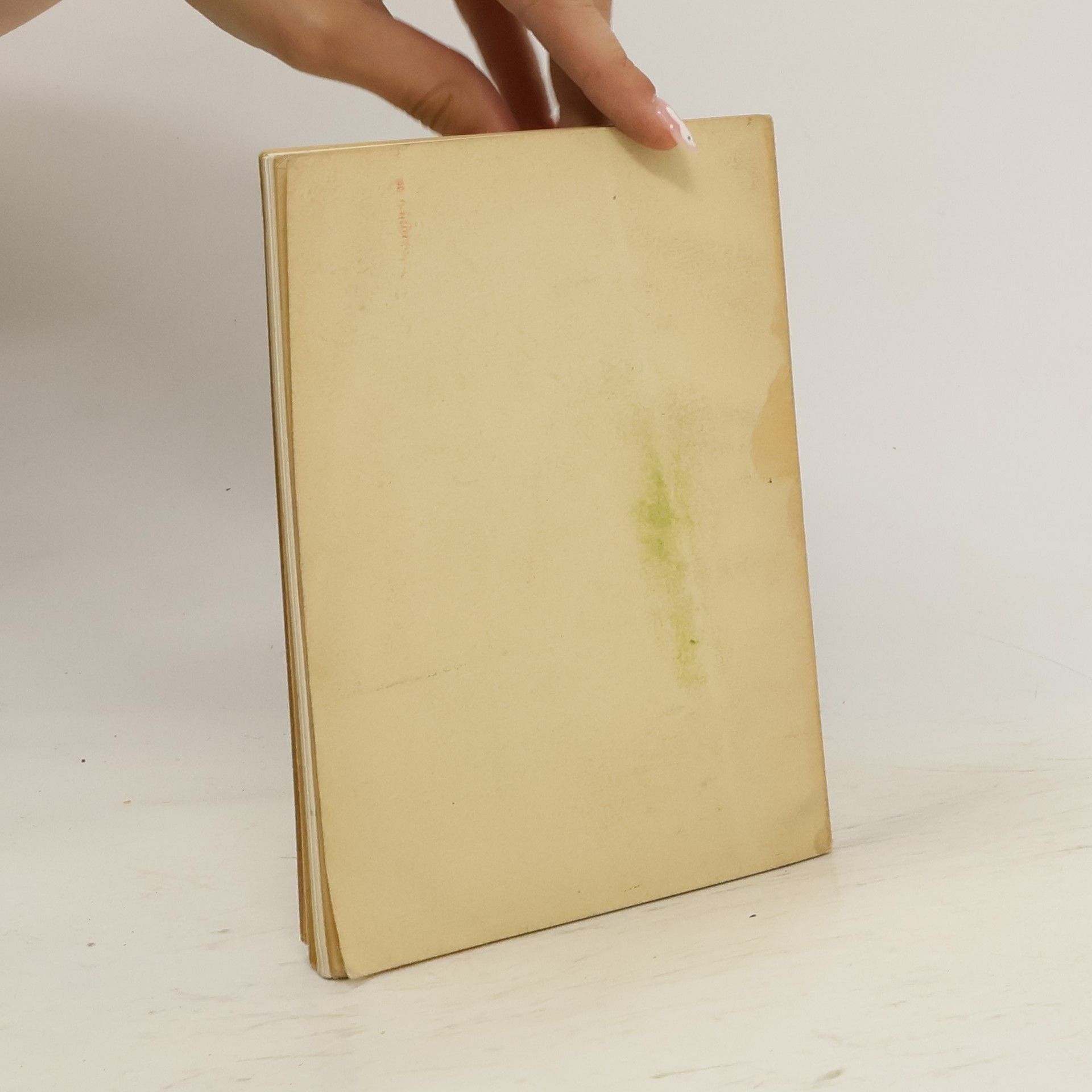 kolektiv The Palatine Gallery. Catalogue of the Principal Paintings