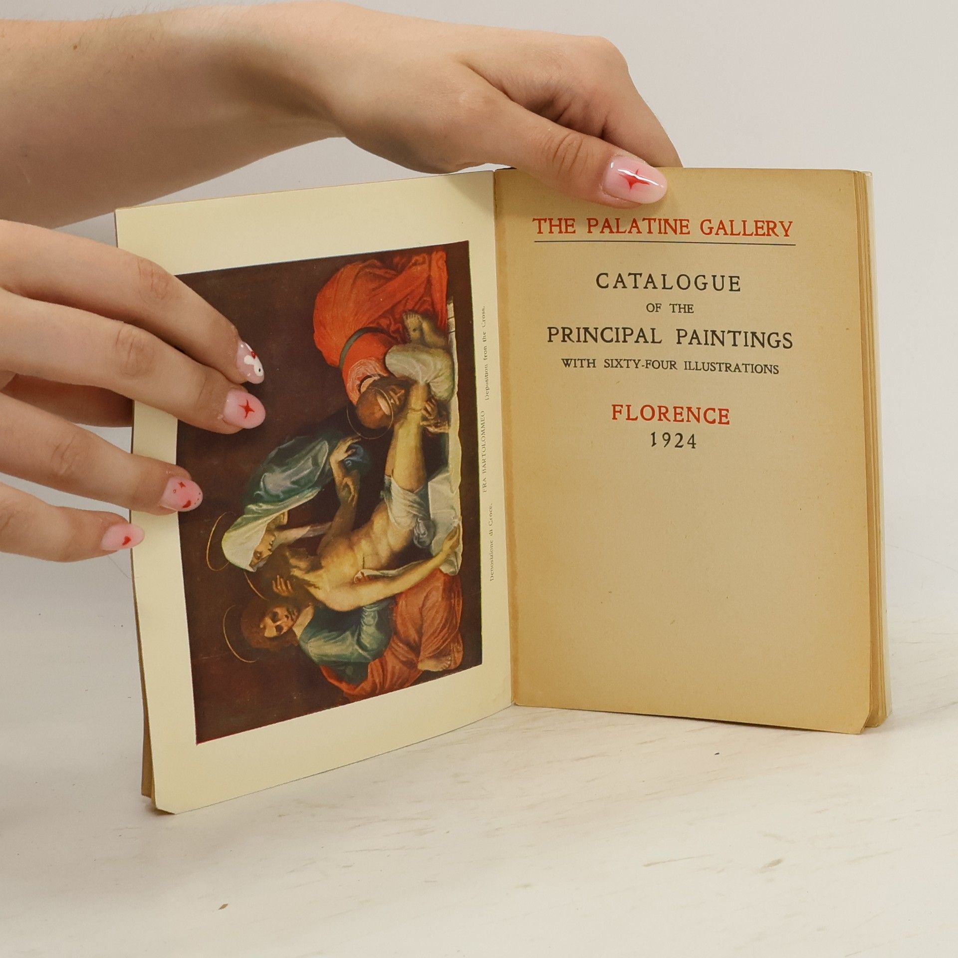 kolektiv The Palatine Gallery. Catalogue of the Principal Paintings