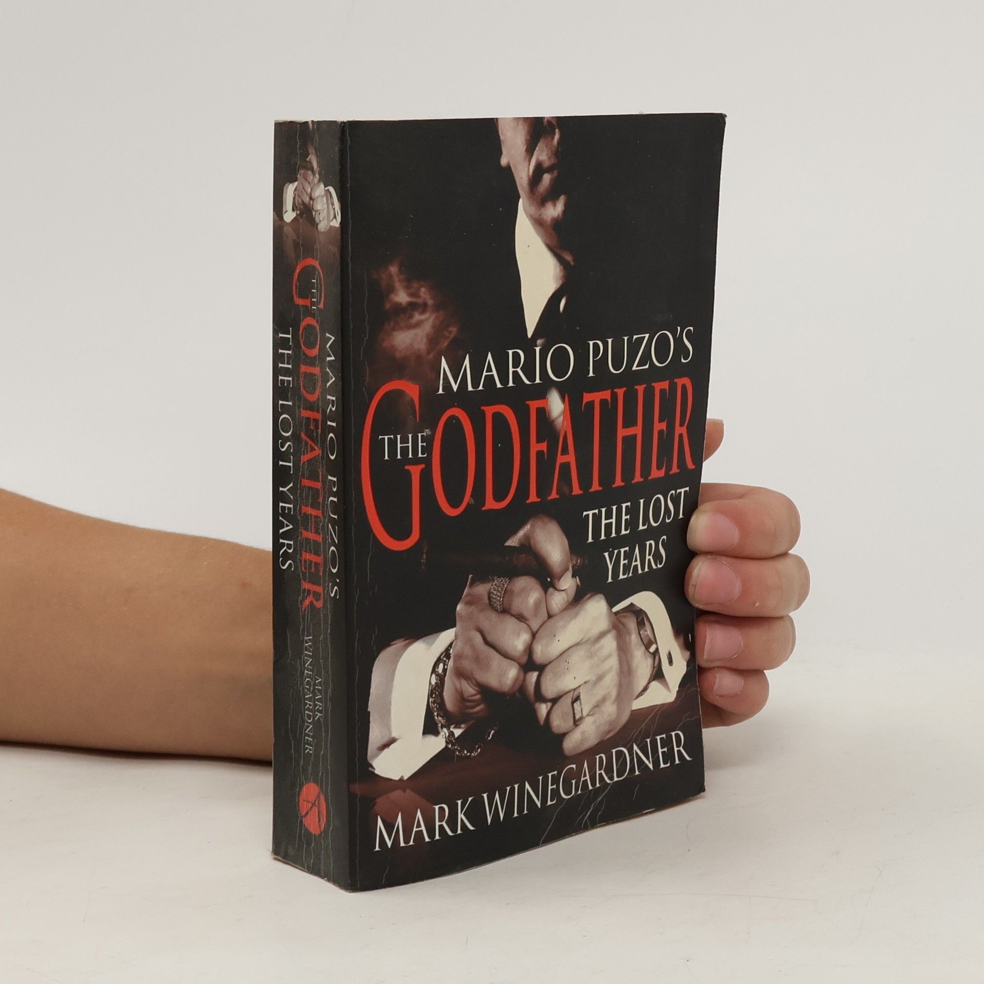 Mark Winegardner The Godfather : the lost years