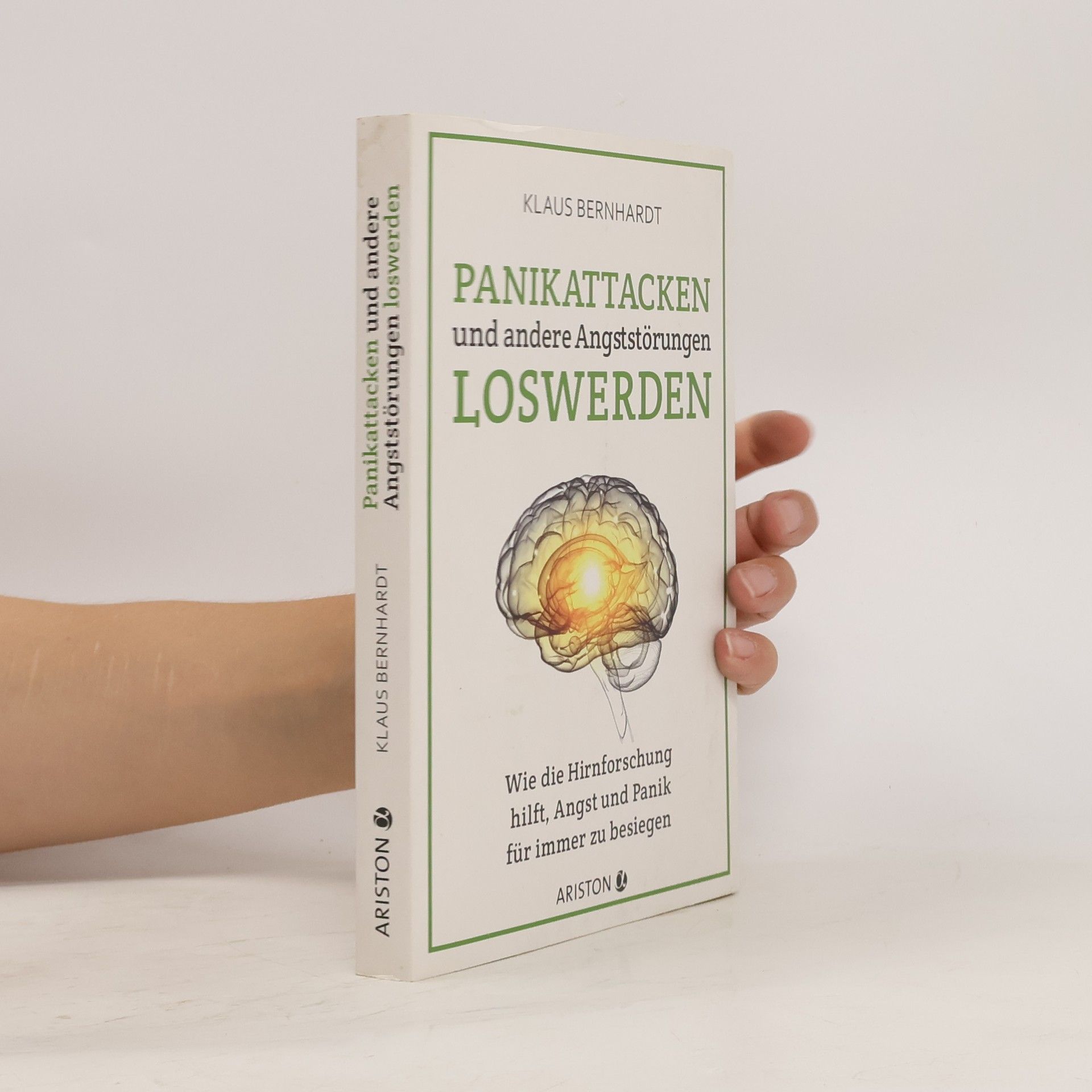 Klaus Bernhardt Panikattacken und andere Angststörungen loswerden