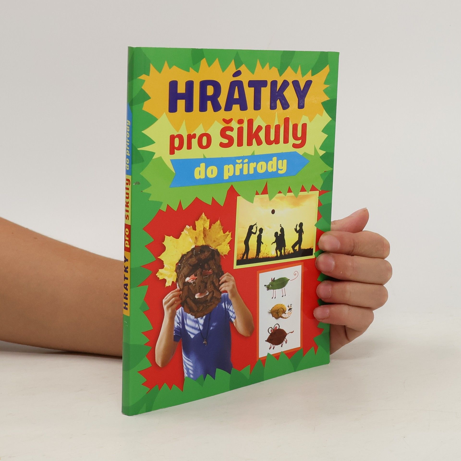 Kolektiv autorů Hrátky pro šikuly do přírody