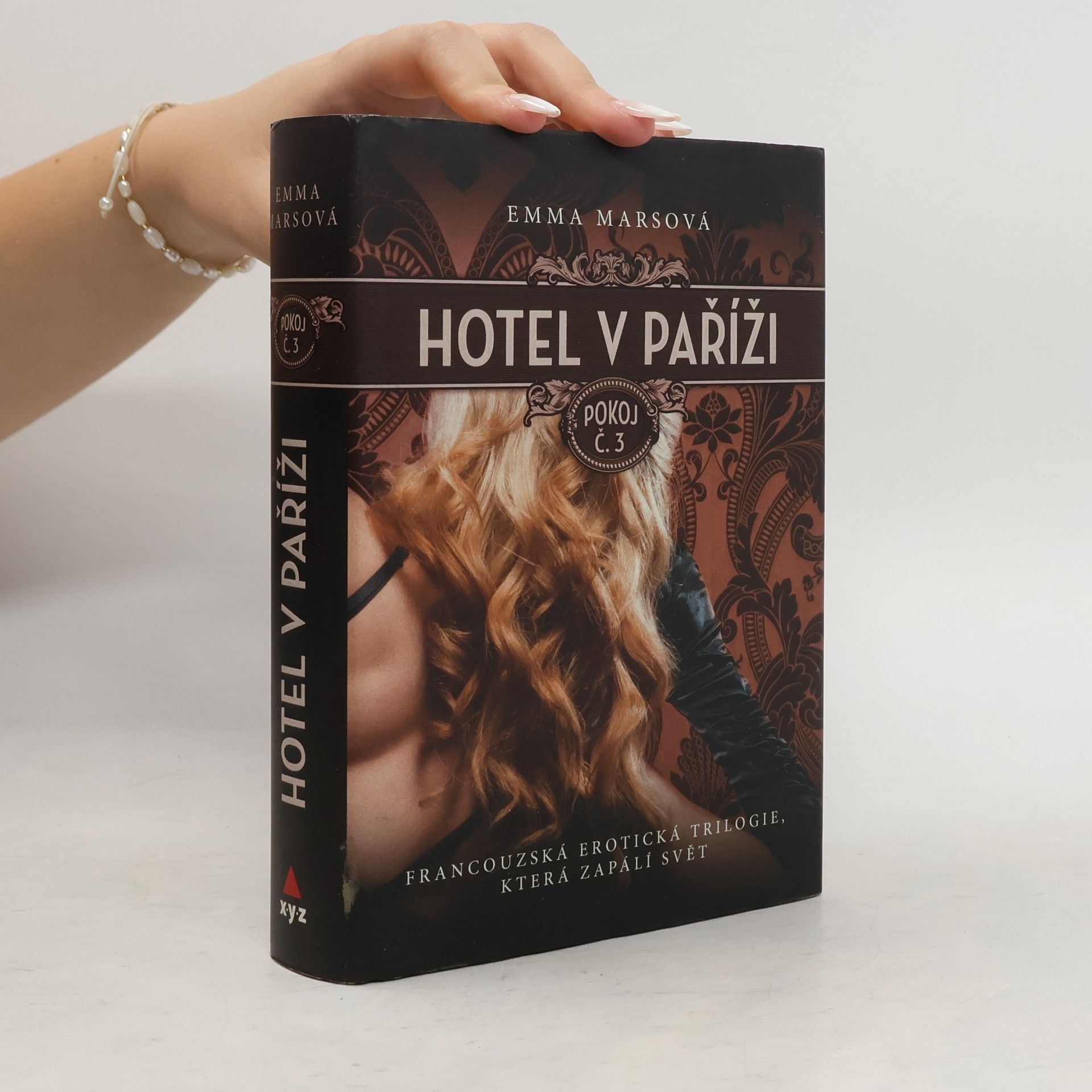 Emma Mars Hotel v Paříži. Pokoj č. 3