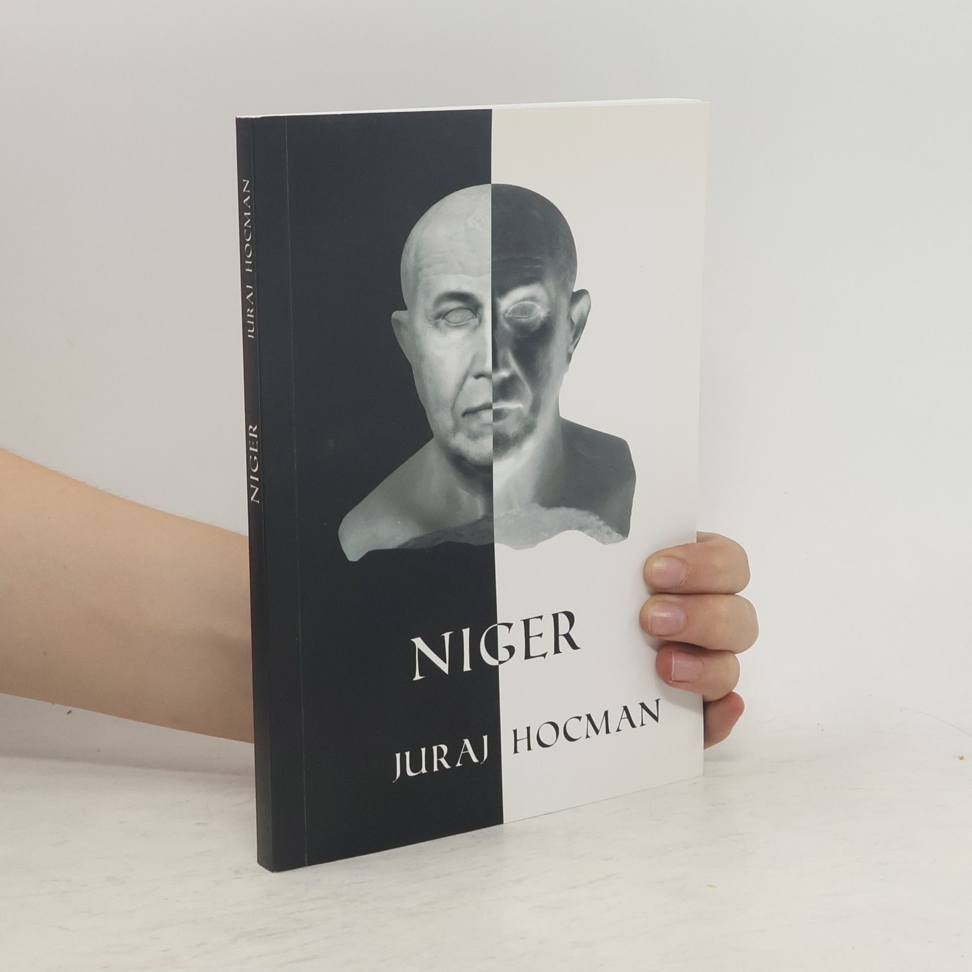 Juraj Hocman Niger