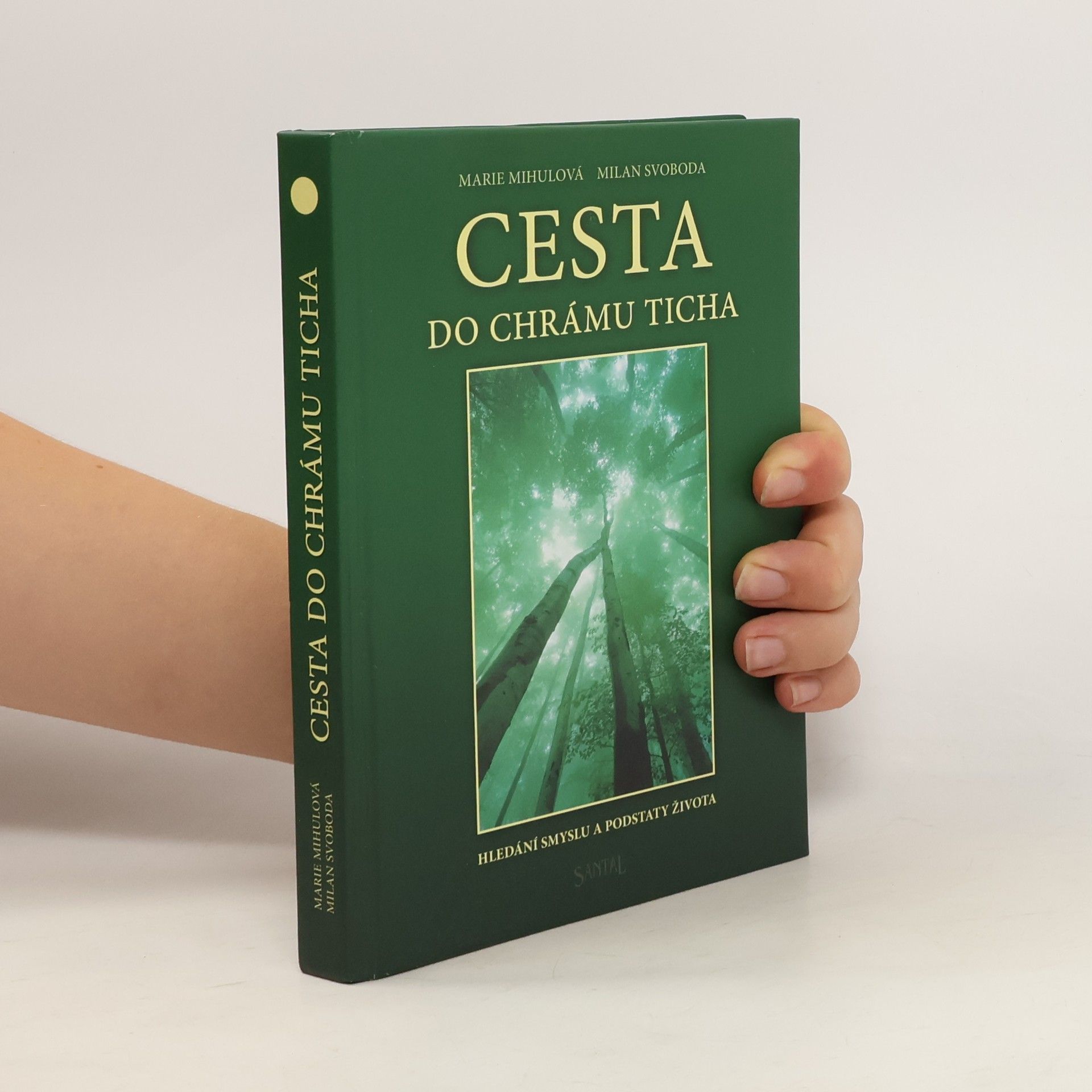 Marie Mihulová Cesta do chrámu ticha: Hledání smyslu a podstaty života