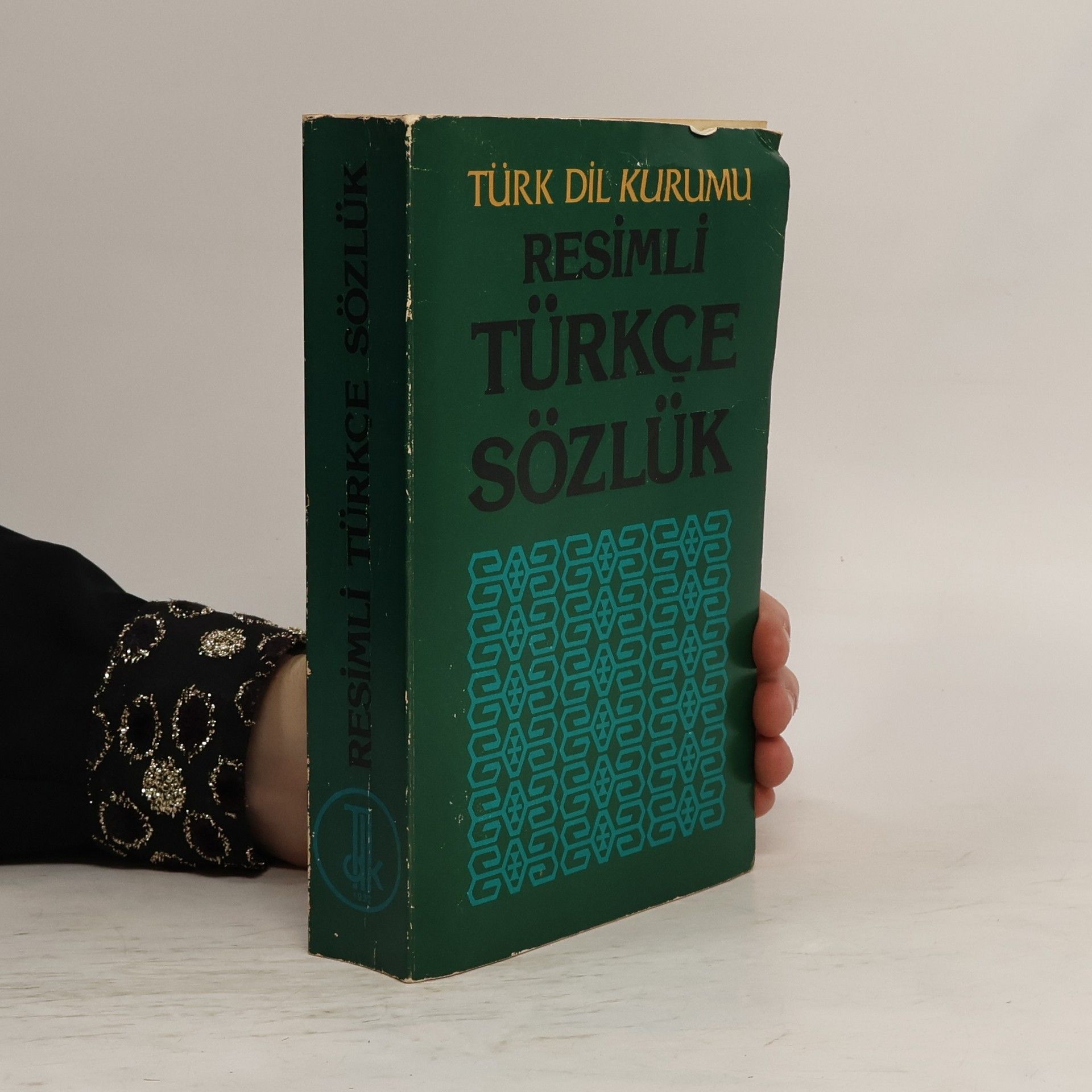 Kolektív autorov Resimli Türkçe Sözlük