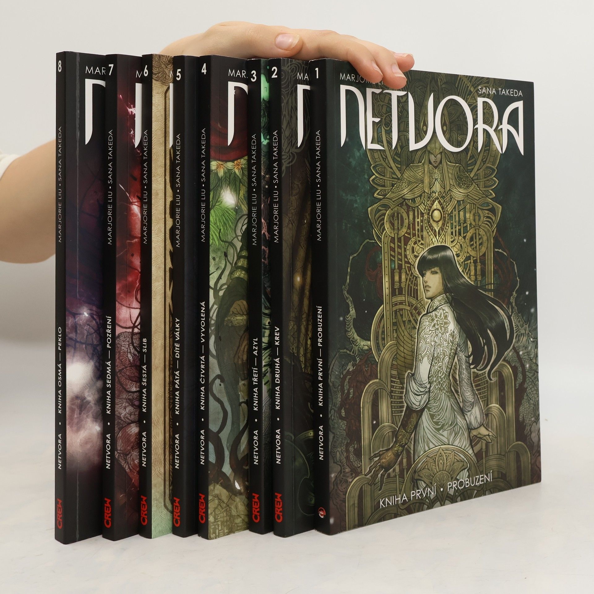 Marjorie Liu Netvora. Kniha první, Probuzení