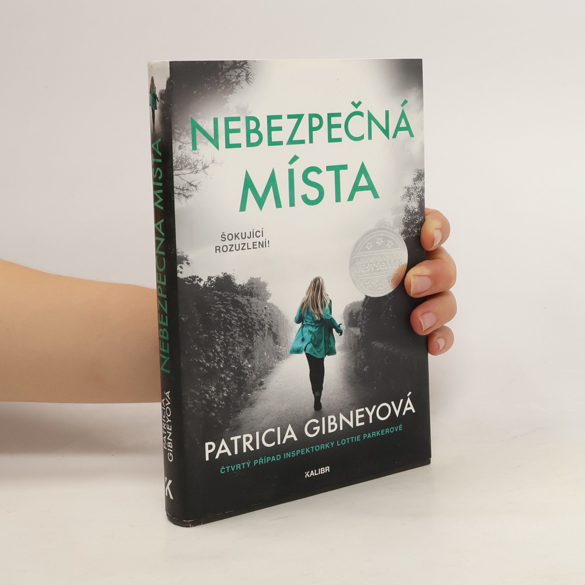 Patricia Gibney Nebezpečná místa
