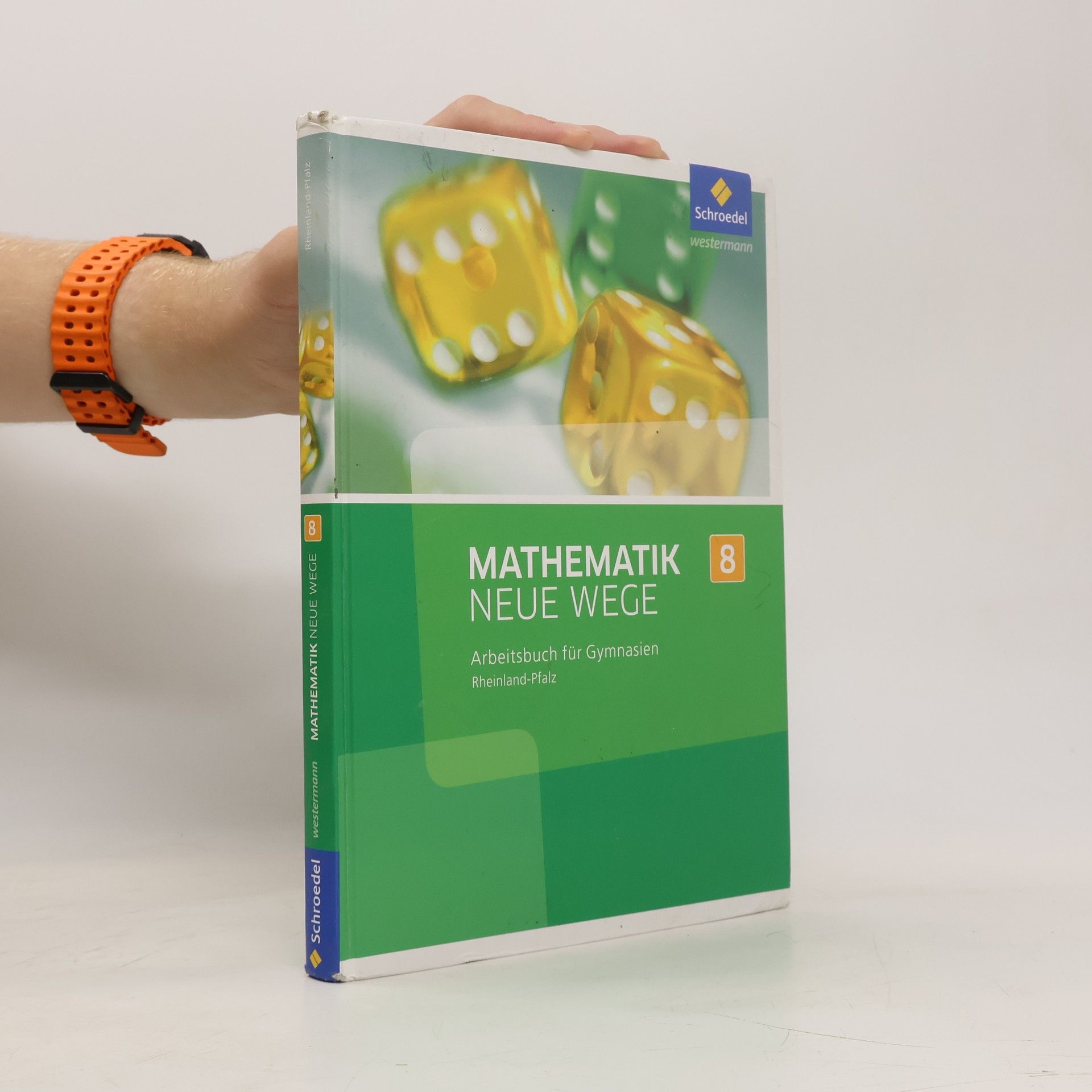 Rheinland Pfalz Mathematik neue Wege 8