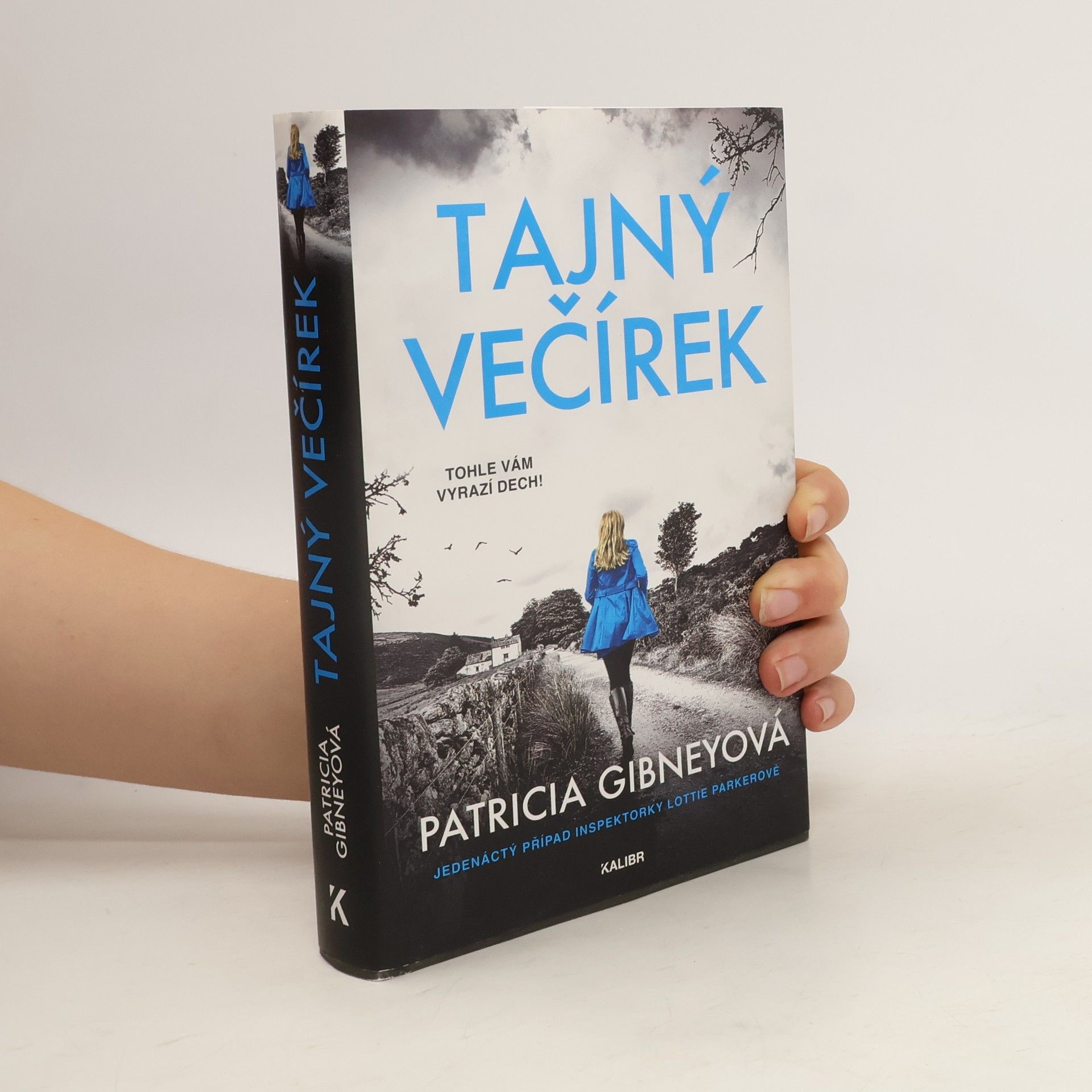 Patricia Gibney Tajný večírek