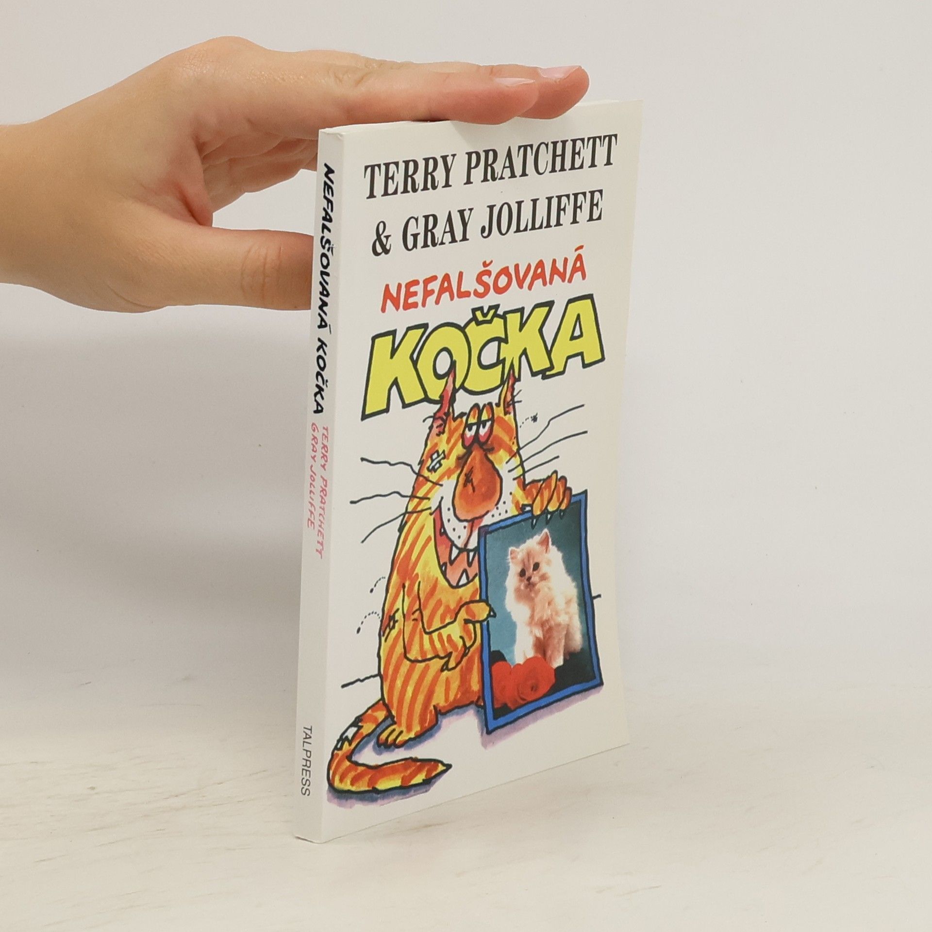 Terry Pratchett Nefalšovaná kočka