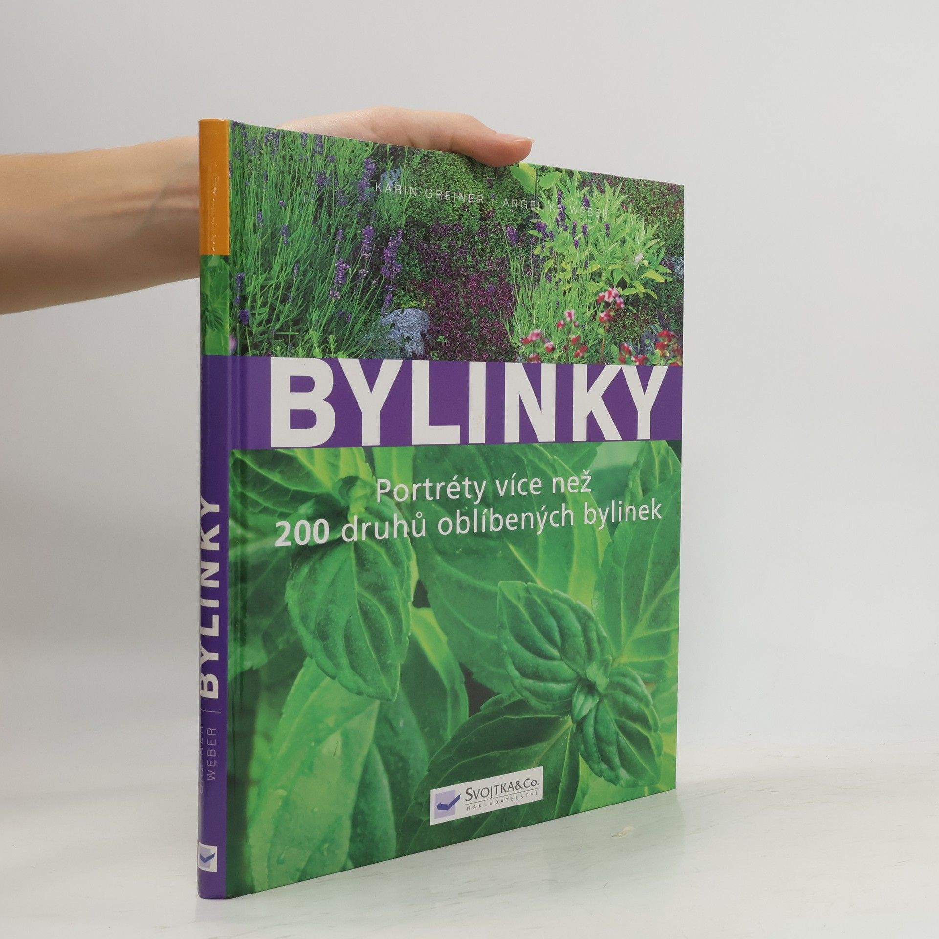 Karin Greiner Bylinky: Nová přehledná kniha s portréty více než 200 druhů oblíbených bylinek