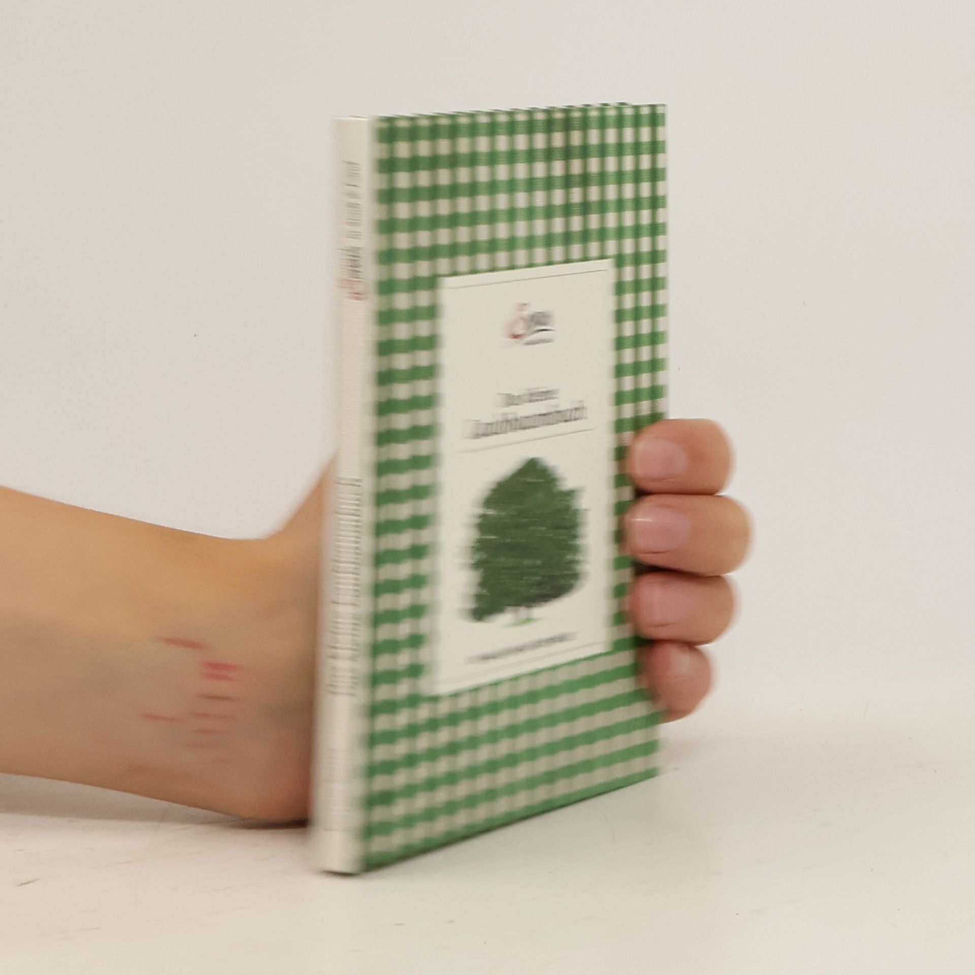 Julia Kospach Das kleine Laubbaumbuch