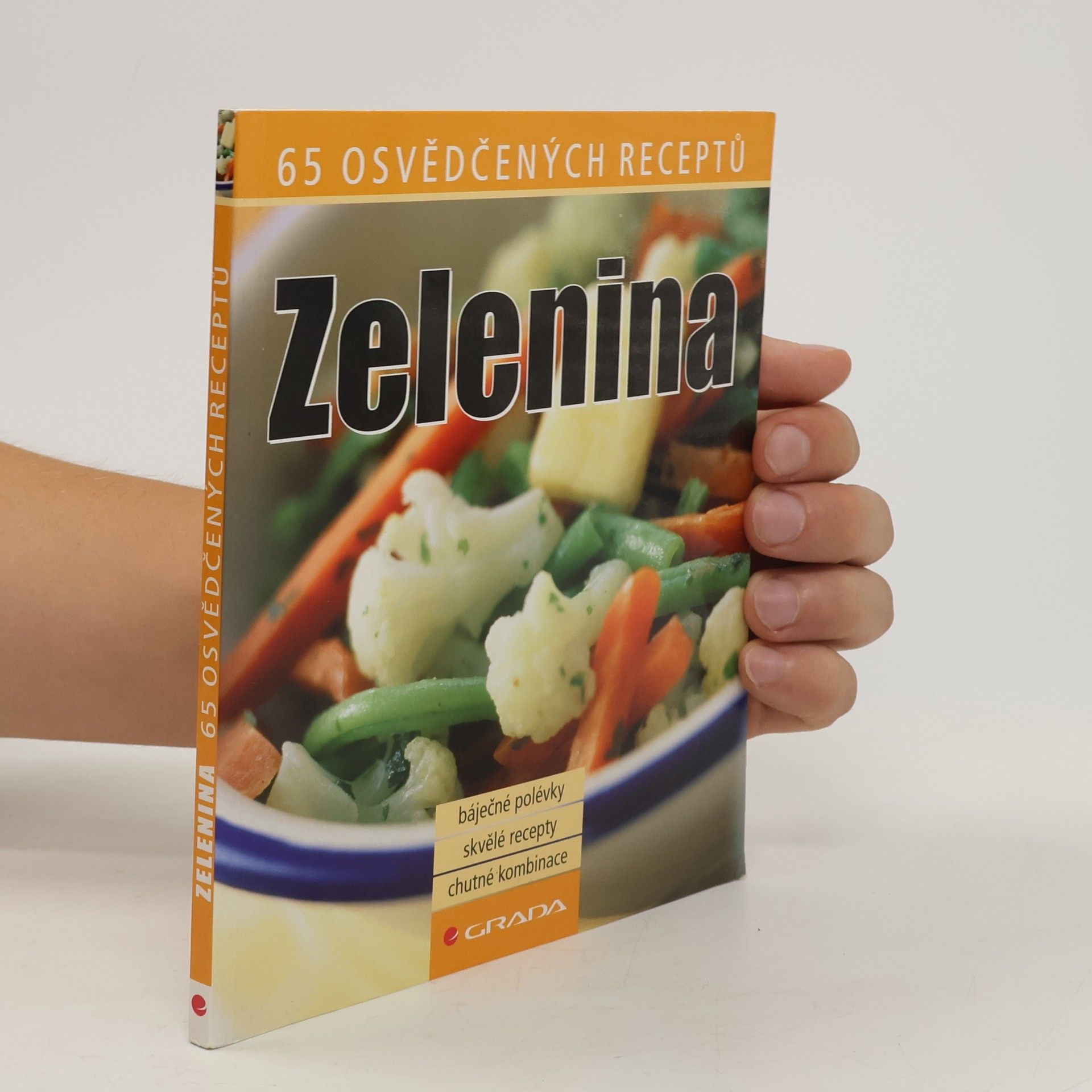 Autorenkollektiv Zelenina 65 osvědčených receptů