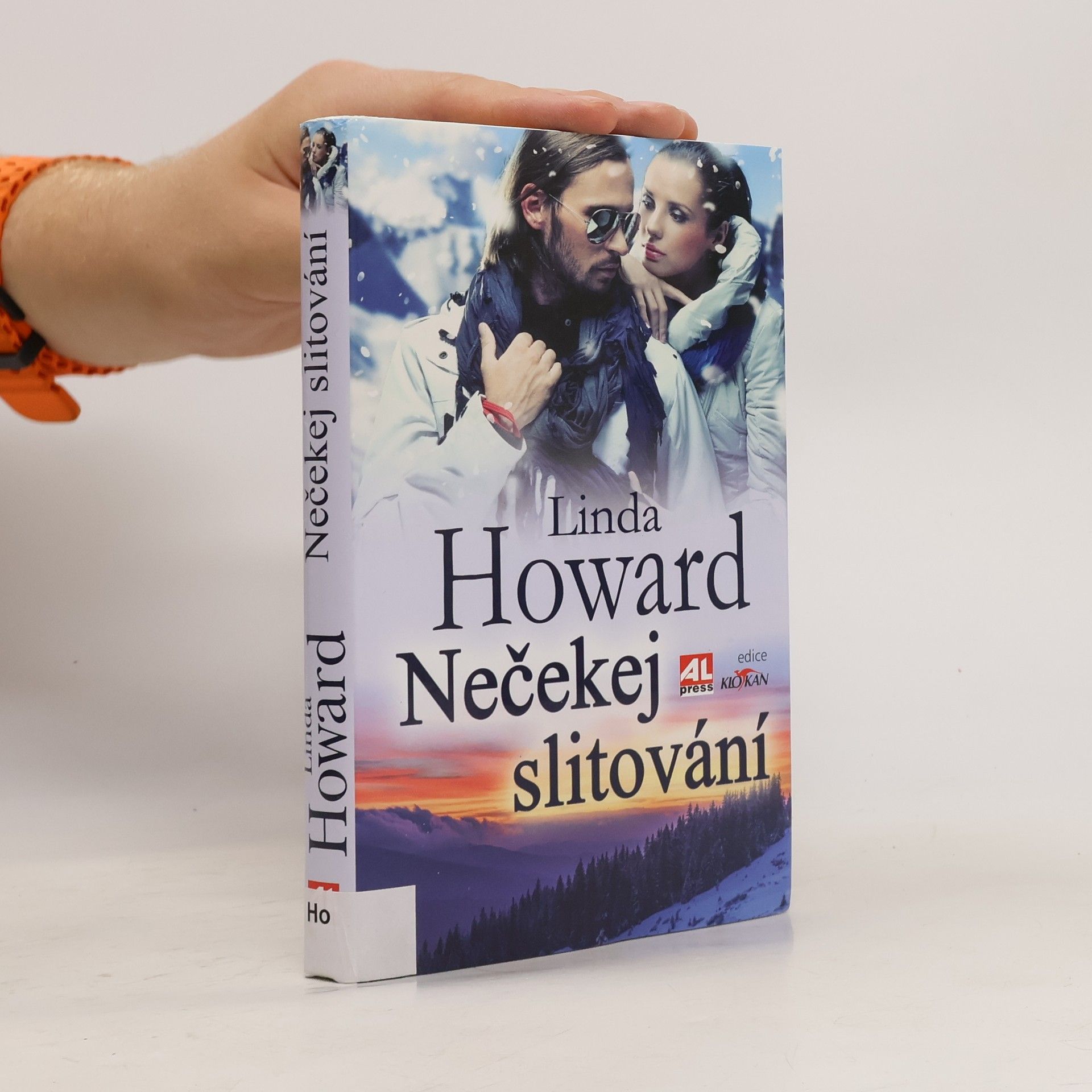 Linda Howard Nečekej slitování