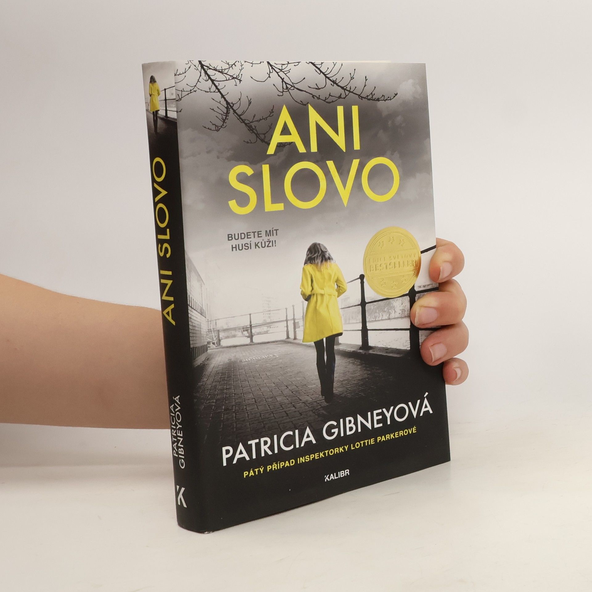 Patricia Gibney Ani slovo