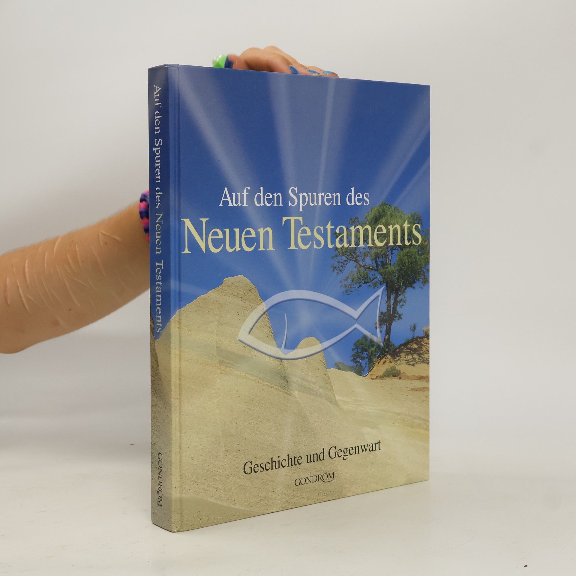 Iris Hahner Herzog Auf den Spuren des Neuen Testaments