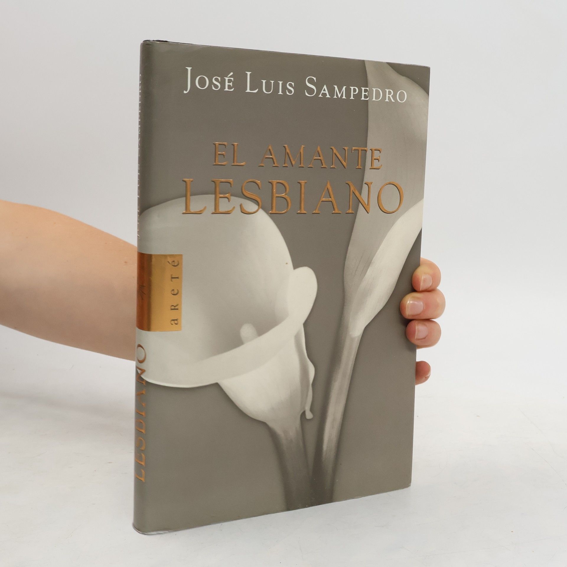 José Luis Sampedro El amante lesbiano