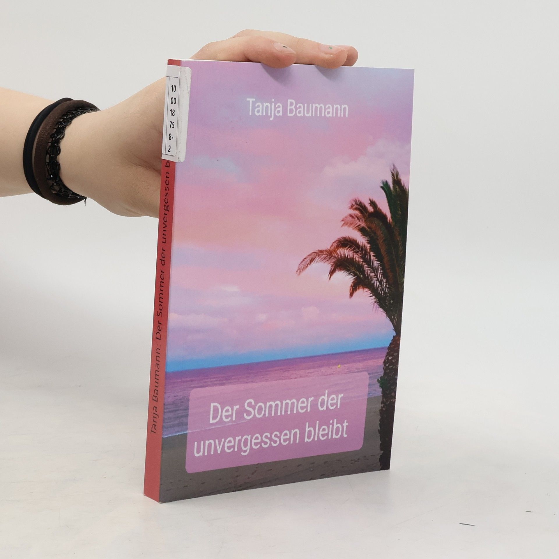 Tanja Baumann Der Sommer der unvergessen bleibt