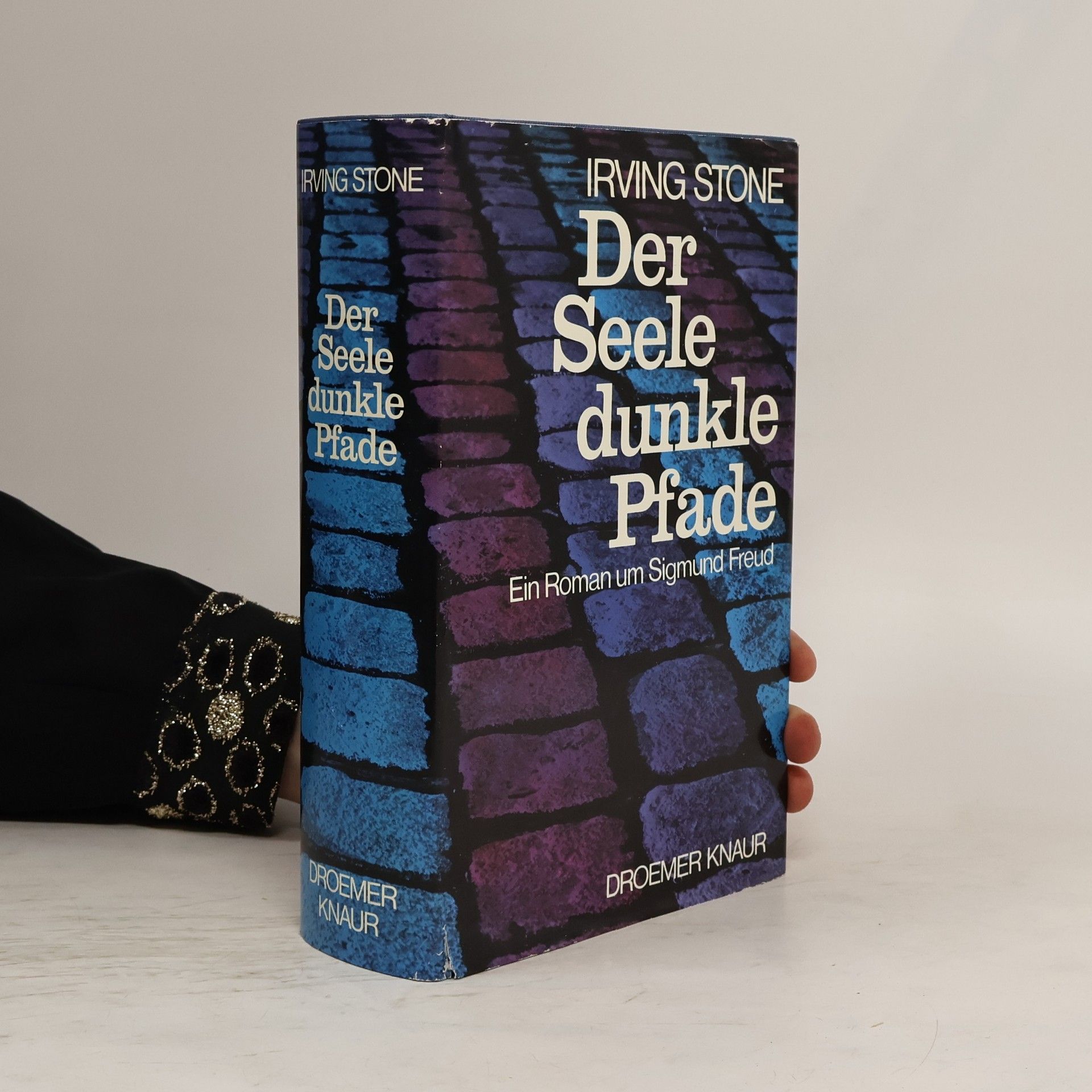 Irving Stone Der Seele dunkle Pfade