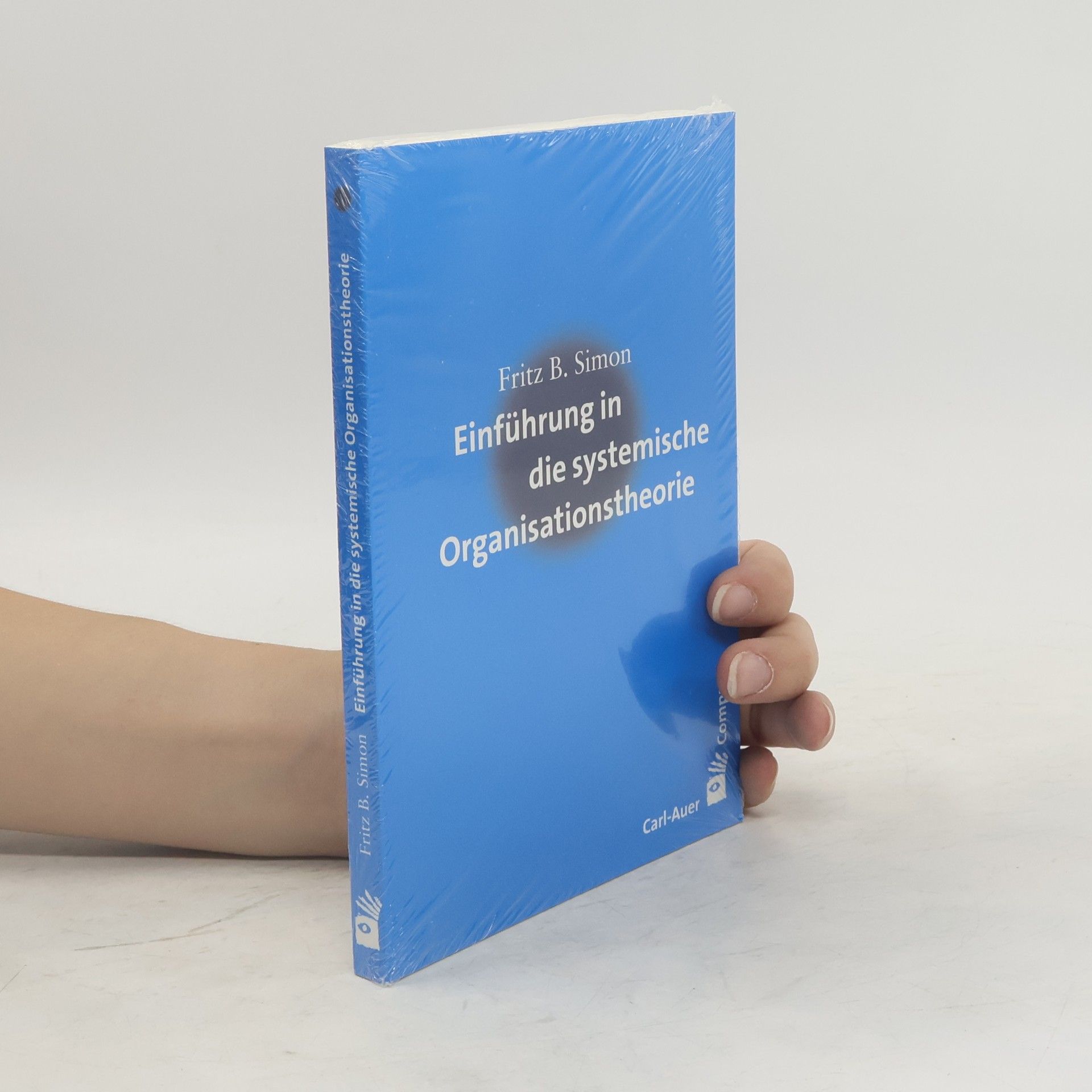 Einführung in die systemische Organisationstheorie