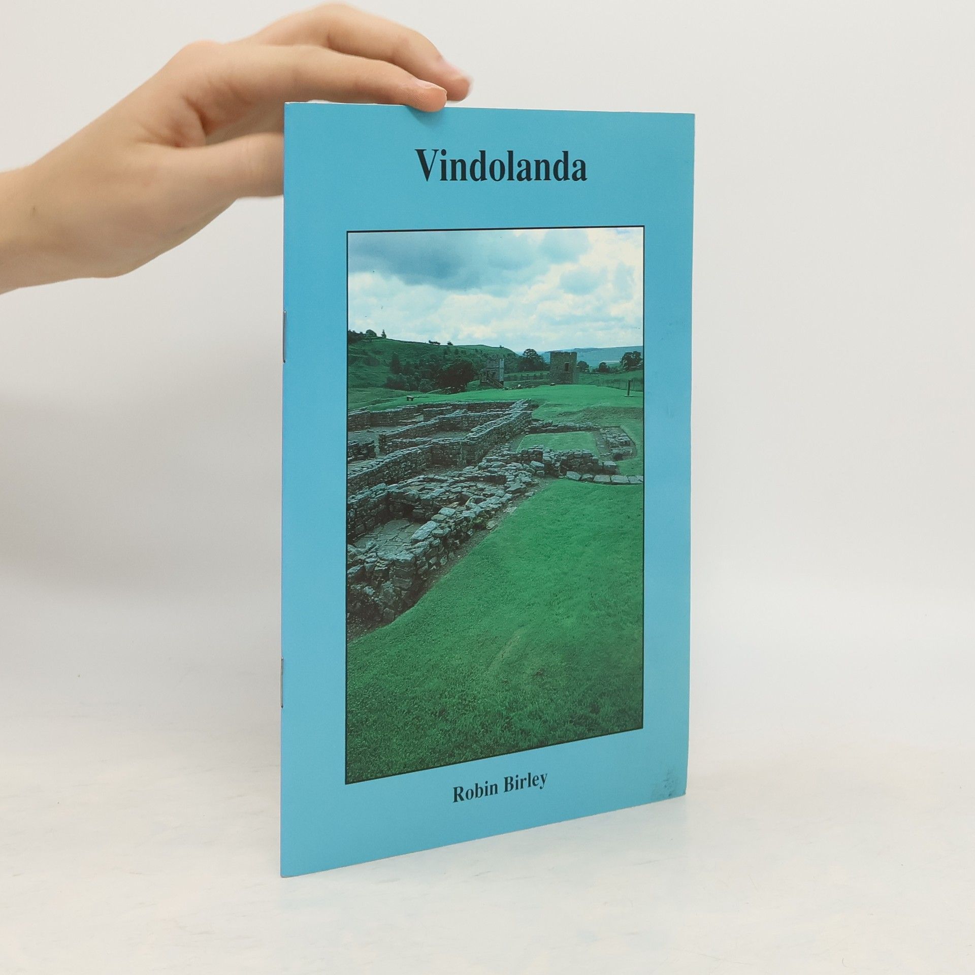 Robin Birkley Vinolanda