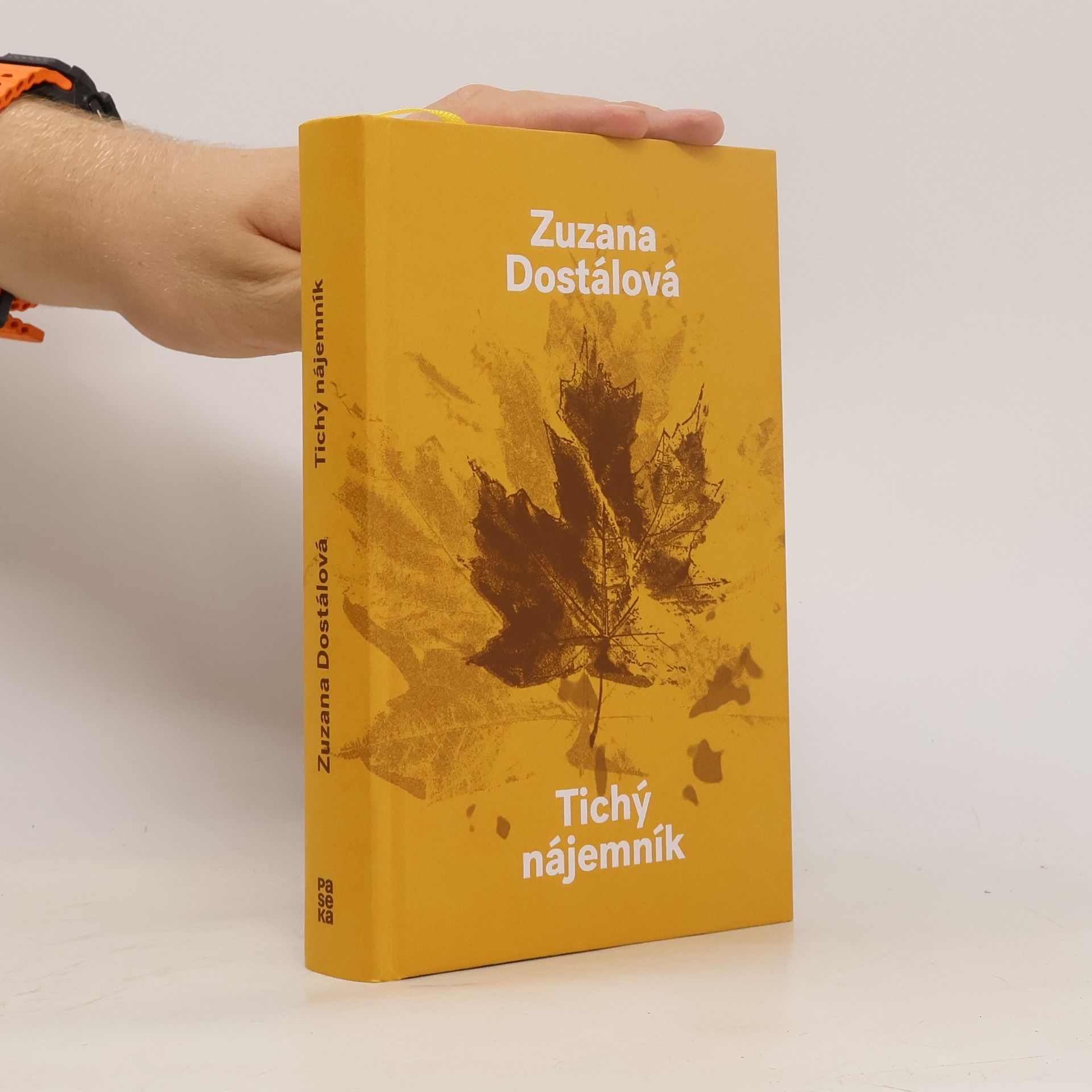 Zuzana Dostálová Tichý nájemník
