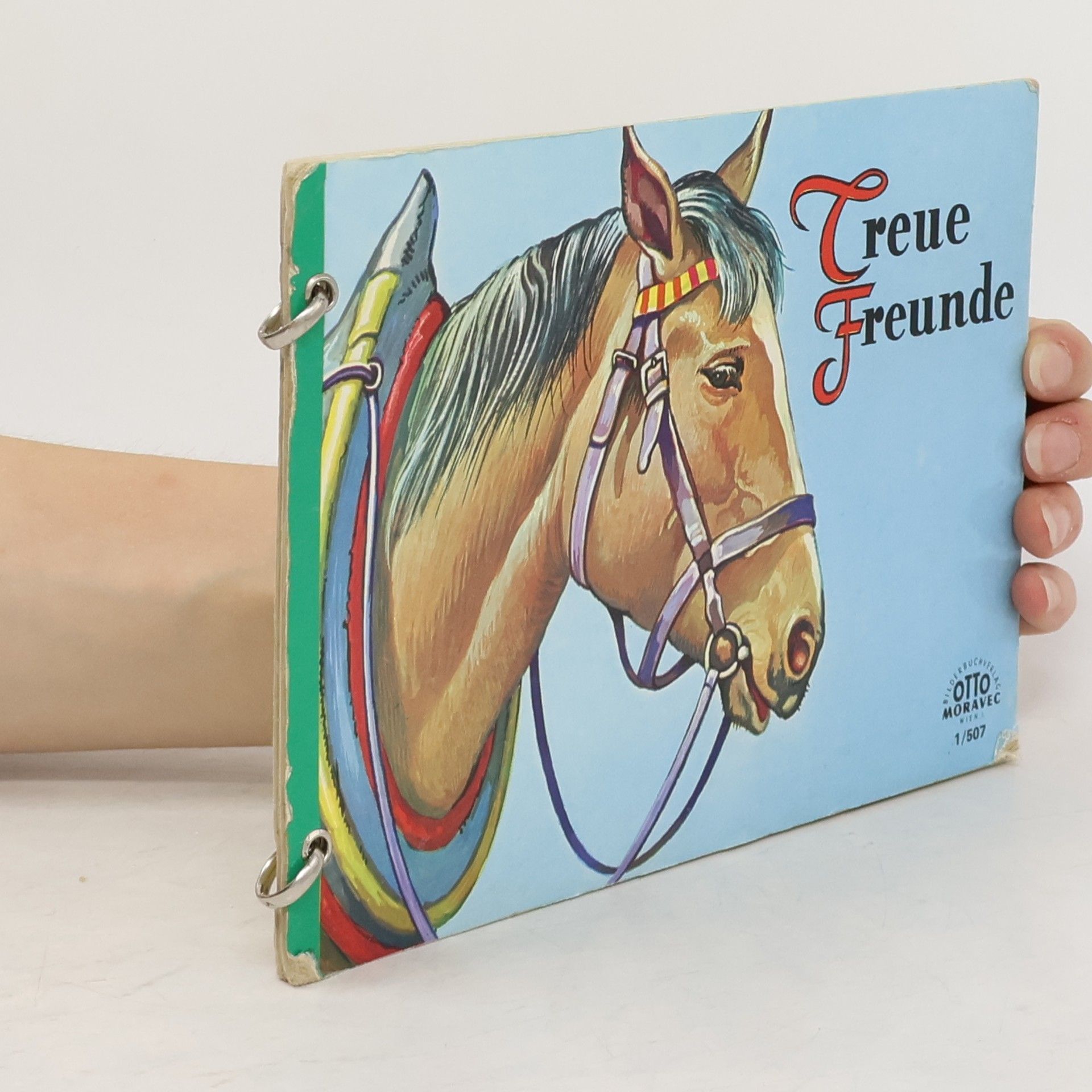 Autorenkollektiv Treue Freunde