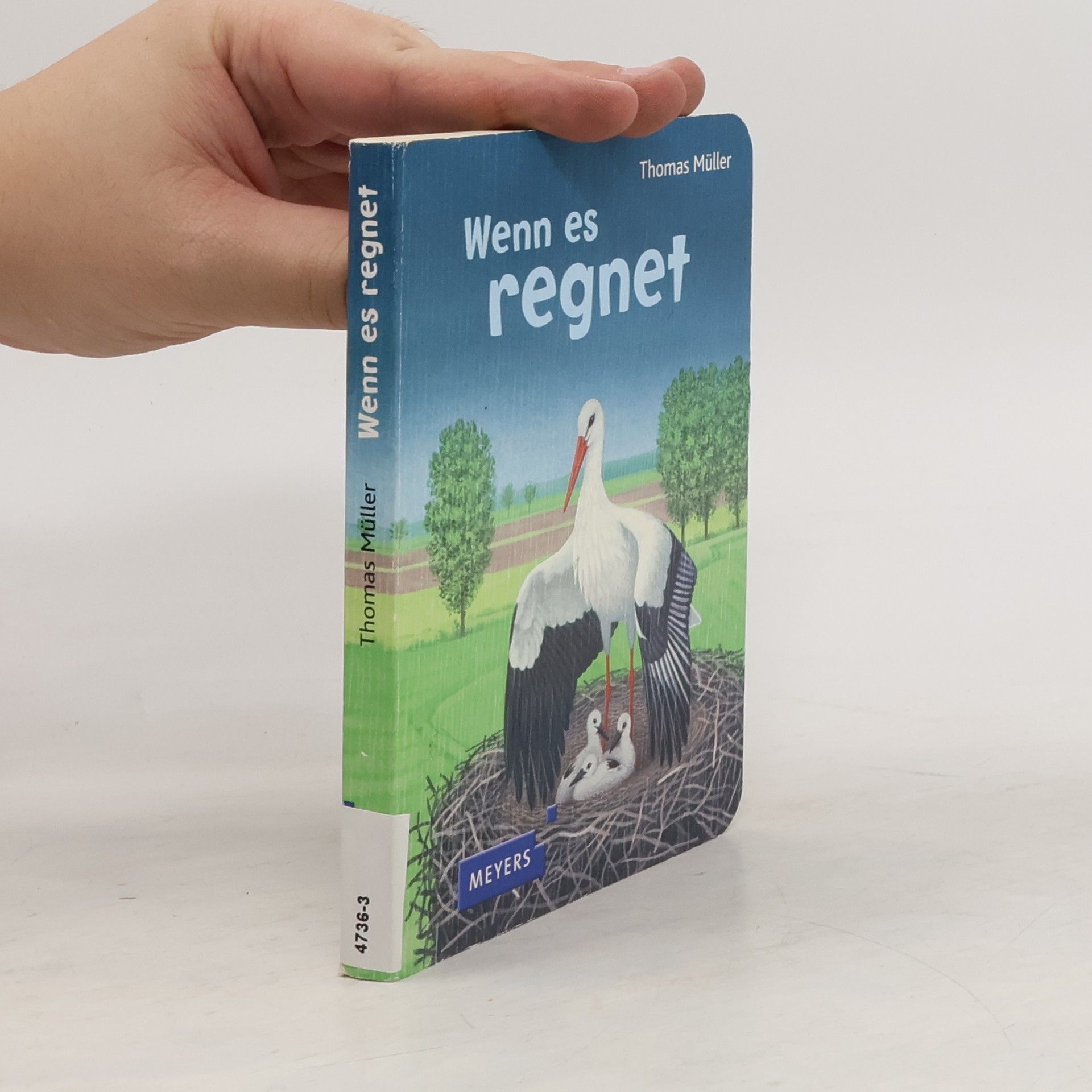 Thomas M. Müller Wenn es regnet