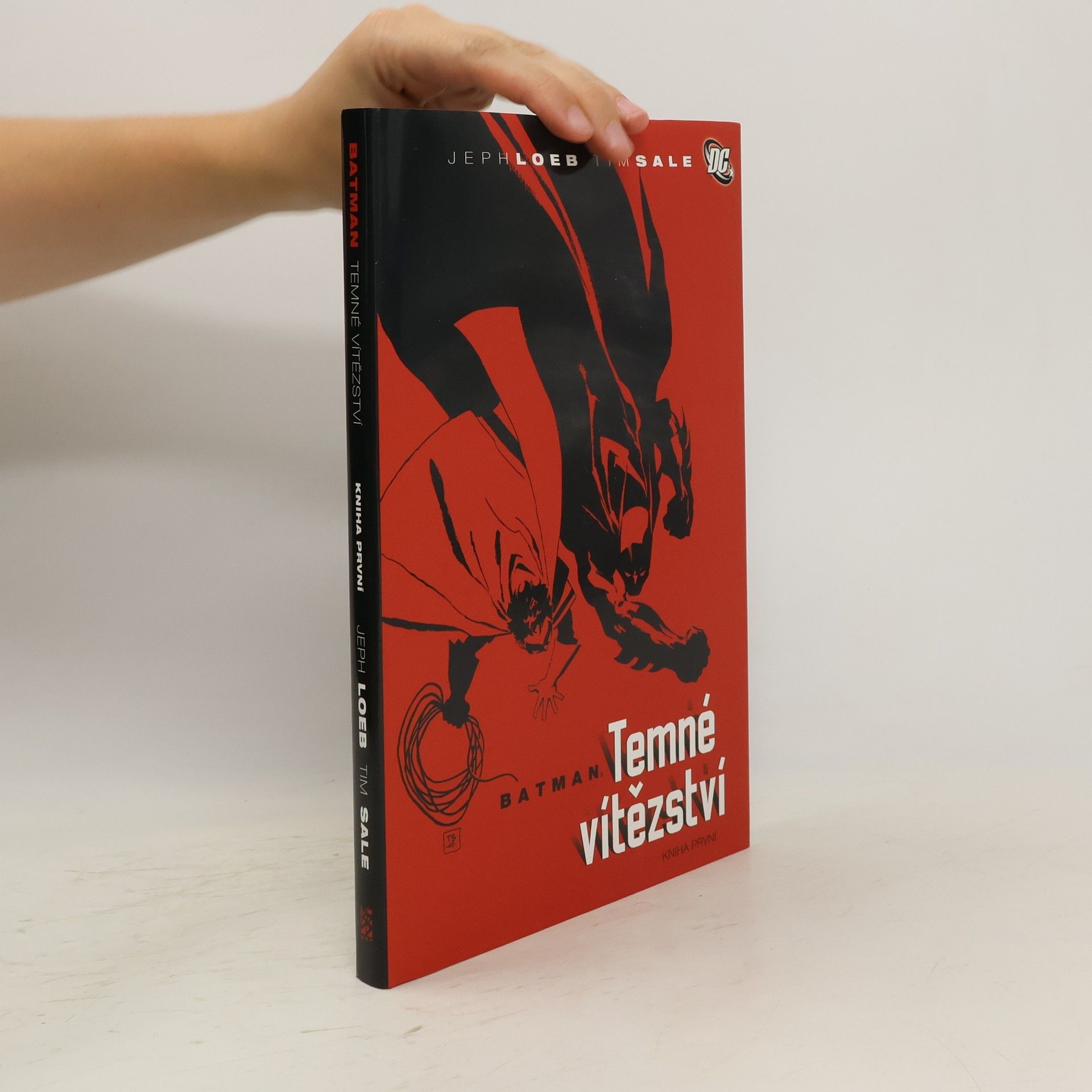 Jeph Loeb Batman: Temné vítězství. Kniha první