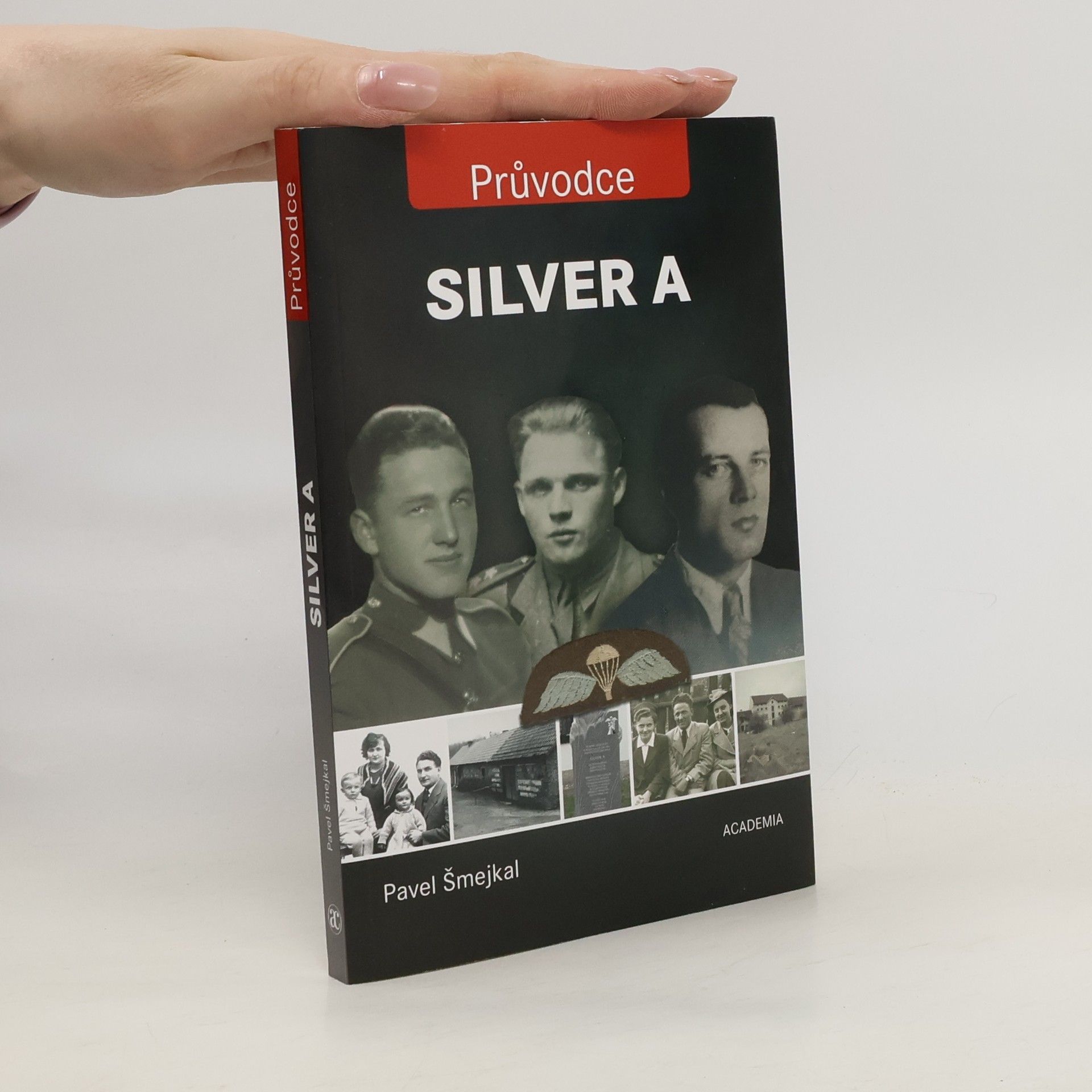 Pavel Šmejkal Silver A