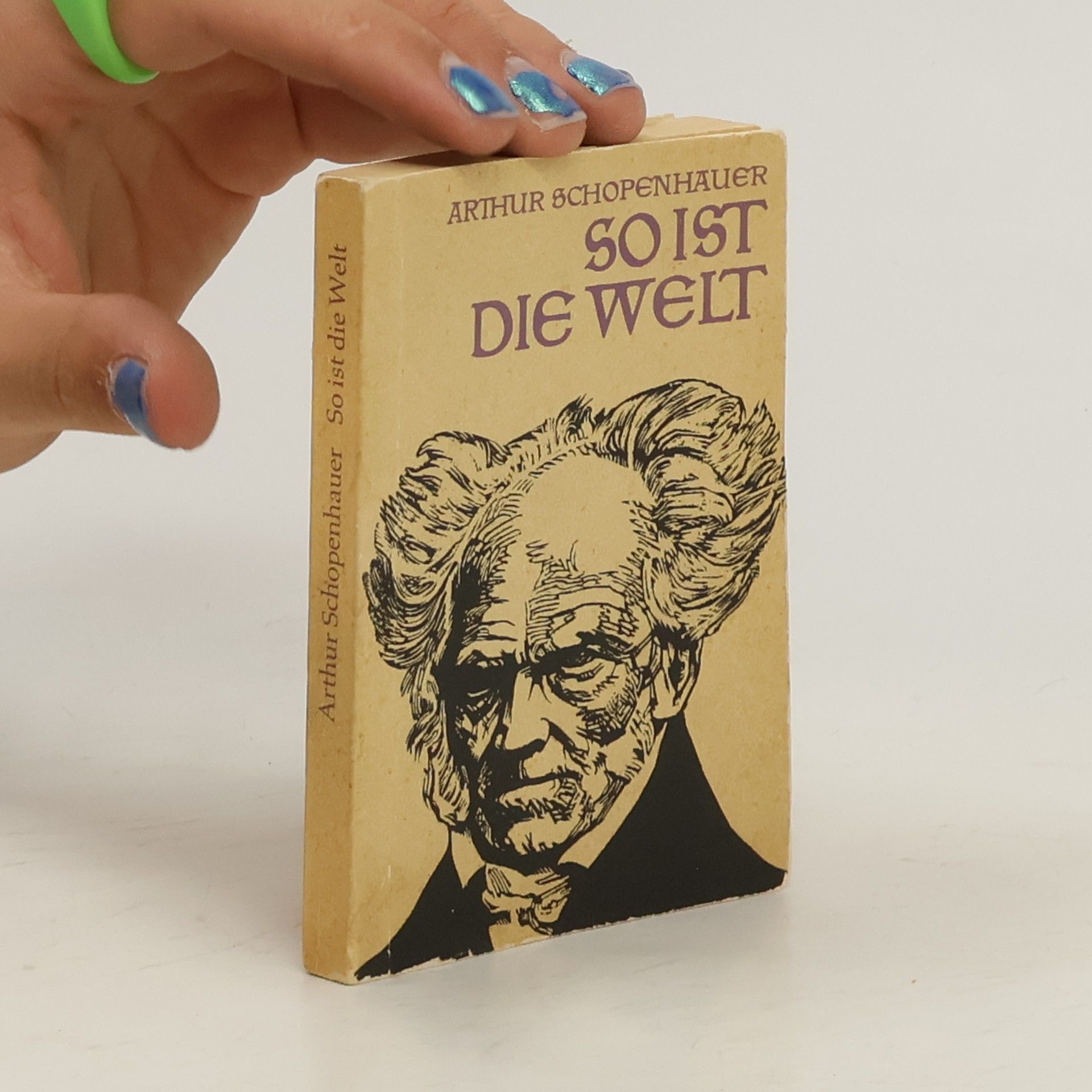 Arthur Schopenhauer So ist die Welt