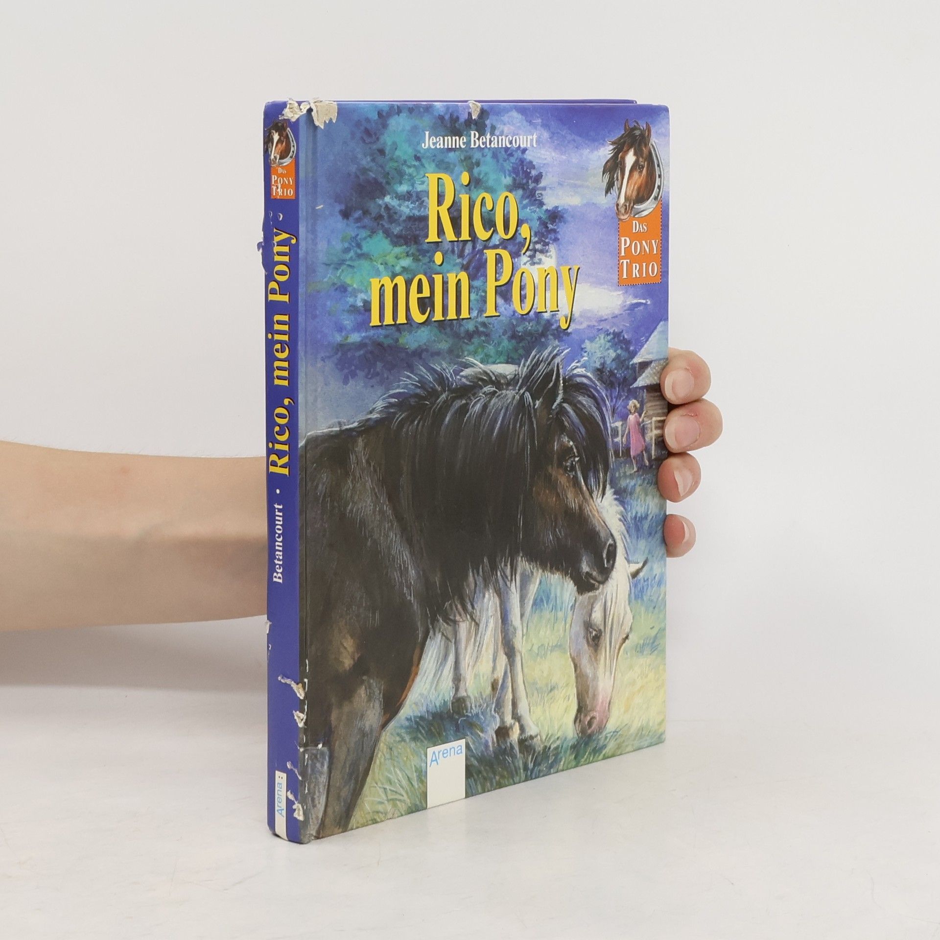 Jeanne Betancourt Rico, mein Pony!. Ab 8