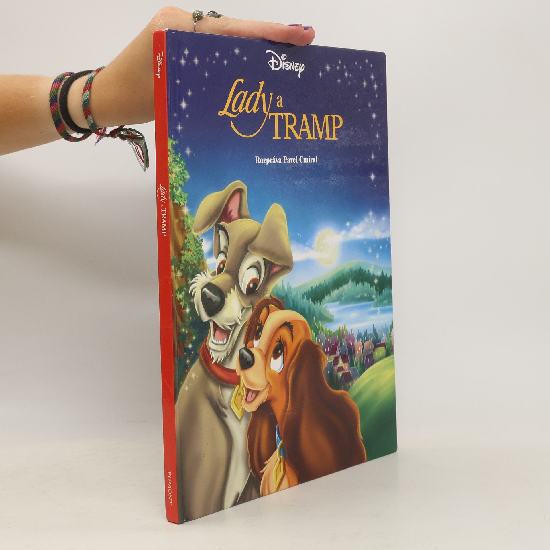 Collectif d'auteurs Lady a Tramp