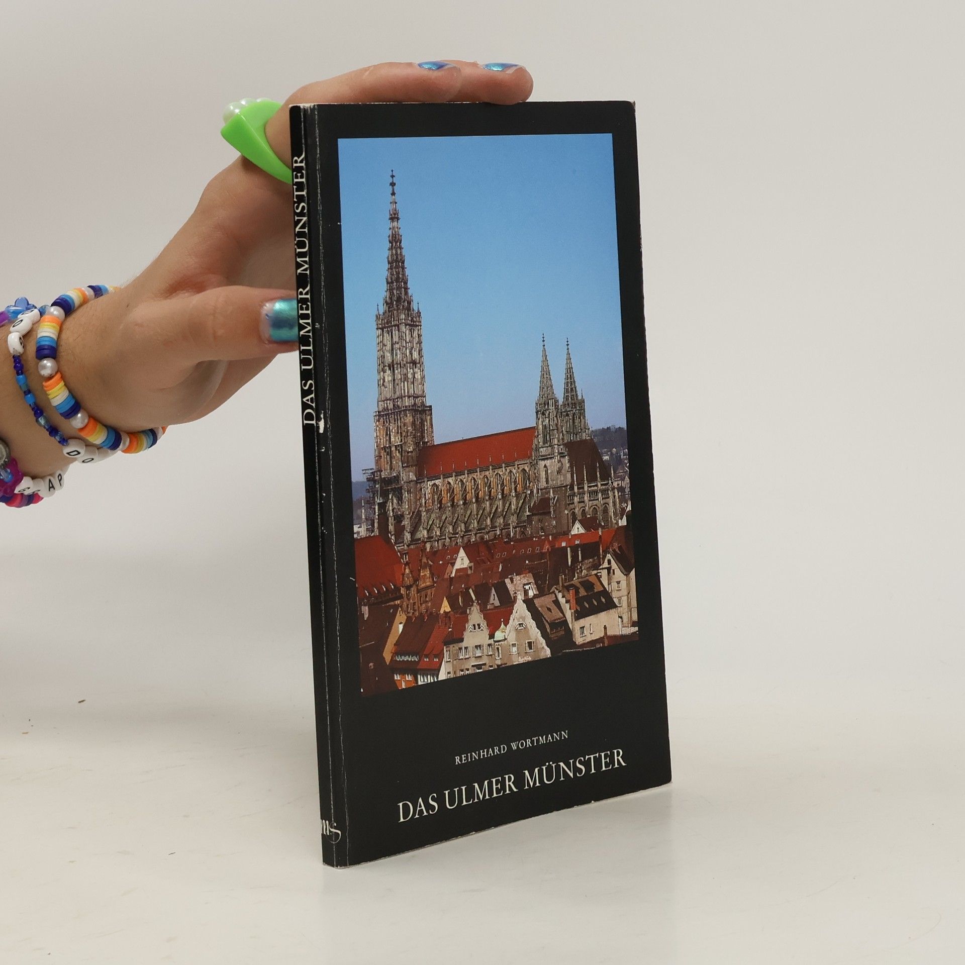 Reinhard Wortmann Das Ulmer Münster