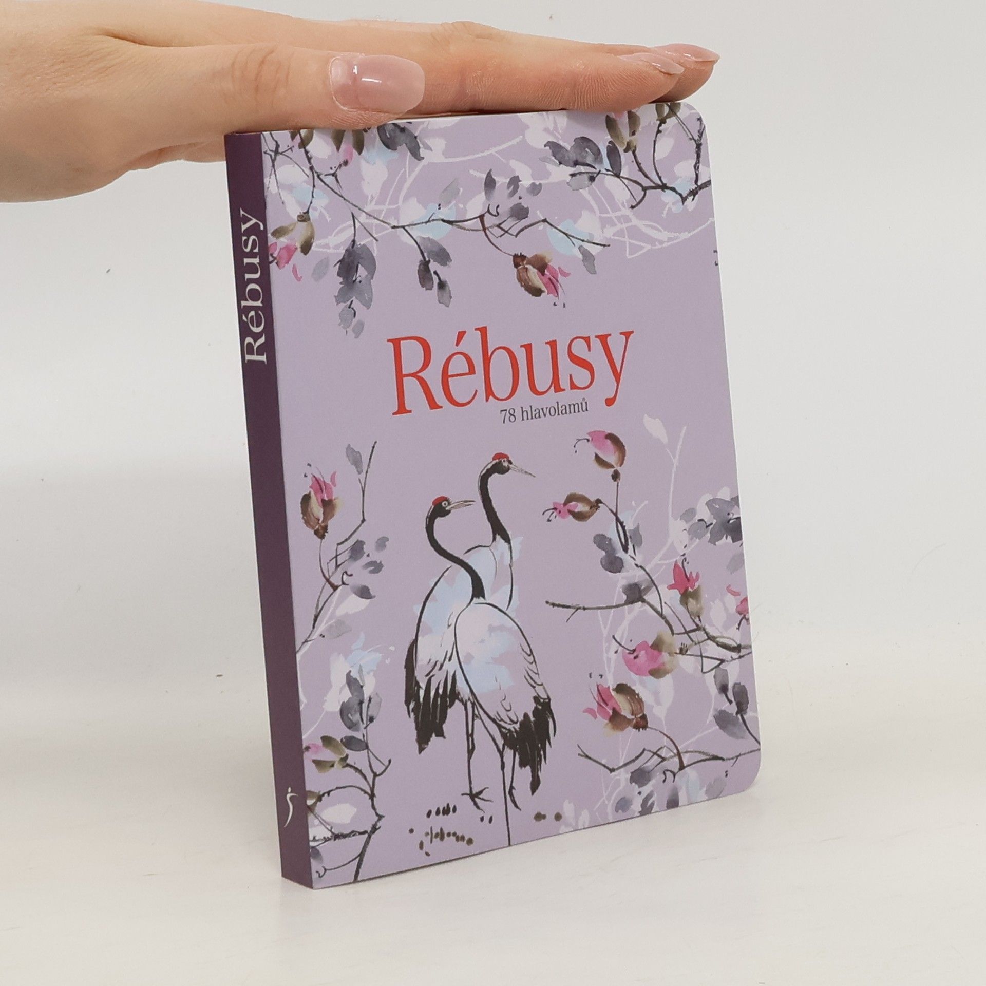 Dita Murinová Rébusy : 78 hlavolamů do kapsy