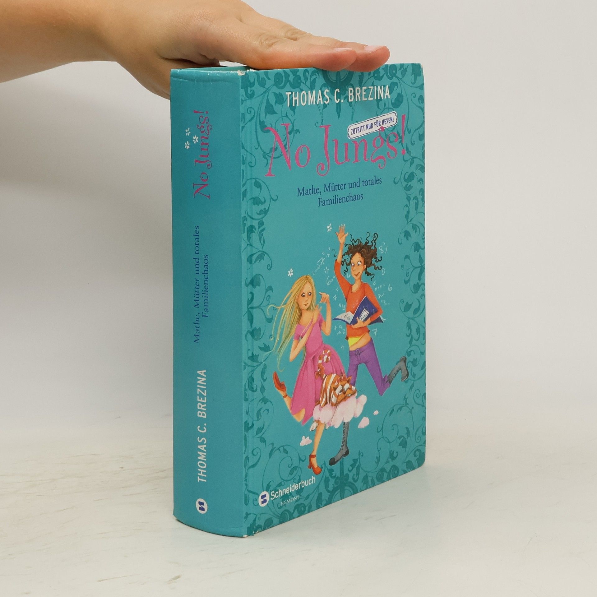 Thomas Brezina No Jungs! Mathe, Mütter und totales Familienchaos