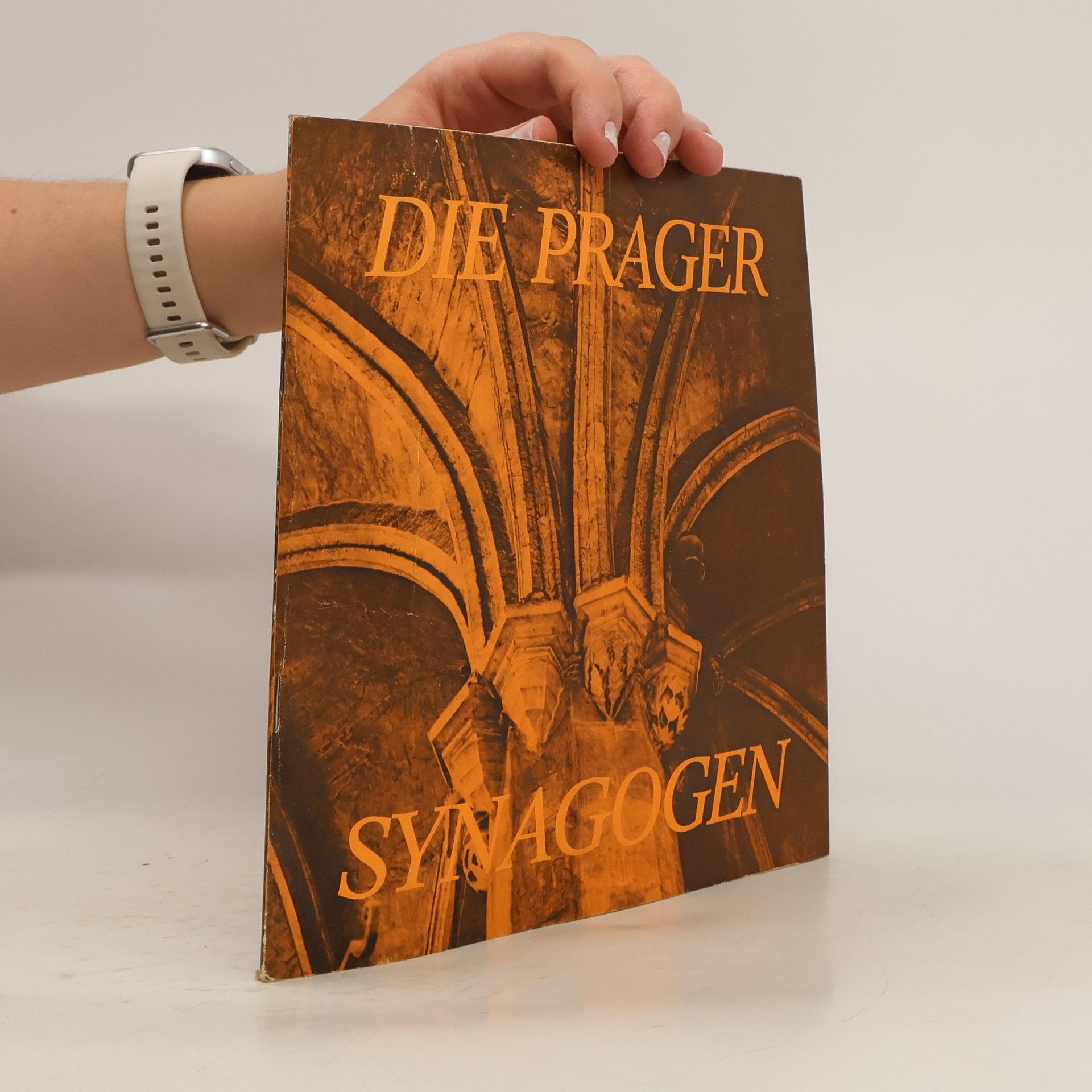 Arno Pařík Die Prager Synagogen