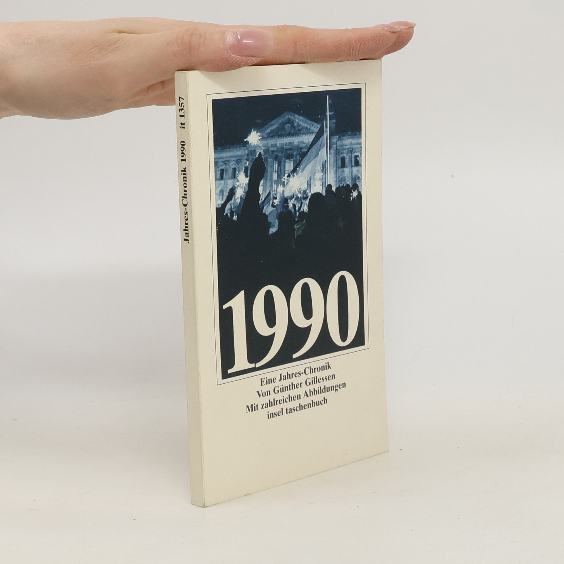 Günther Gillessen Insel Taschenbuch - 1357: 1990