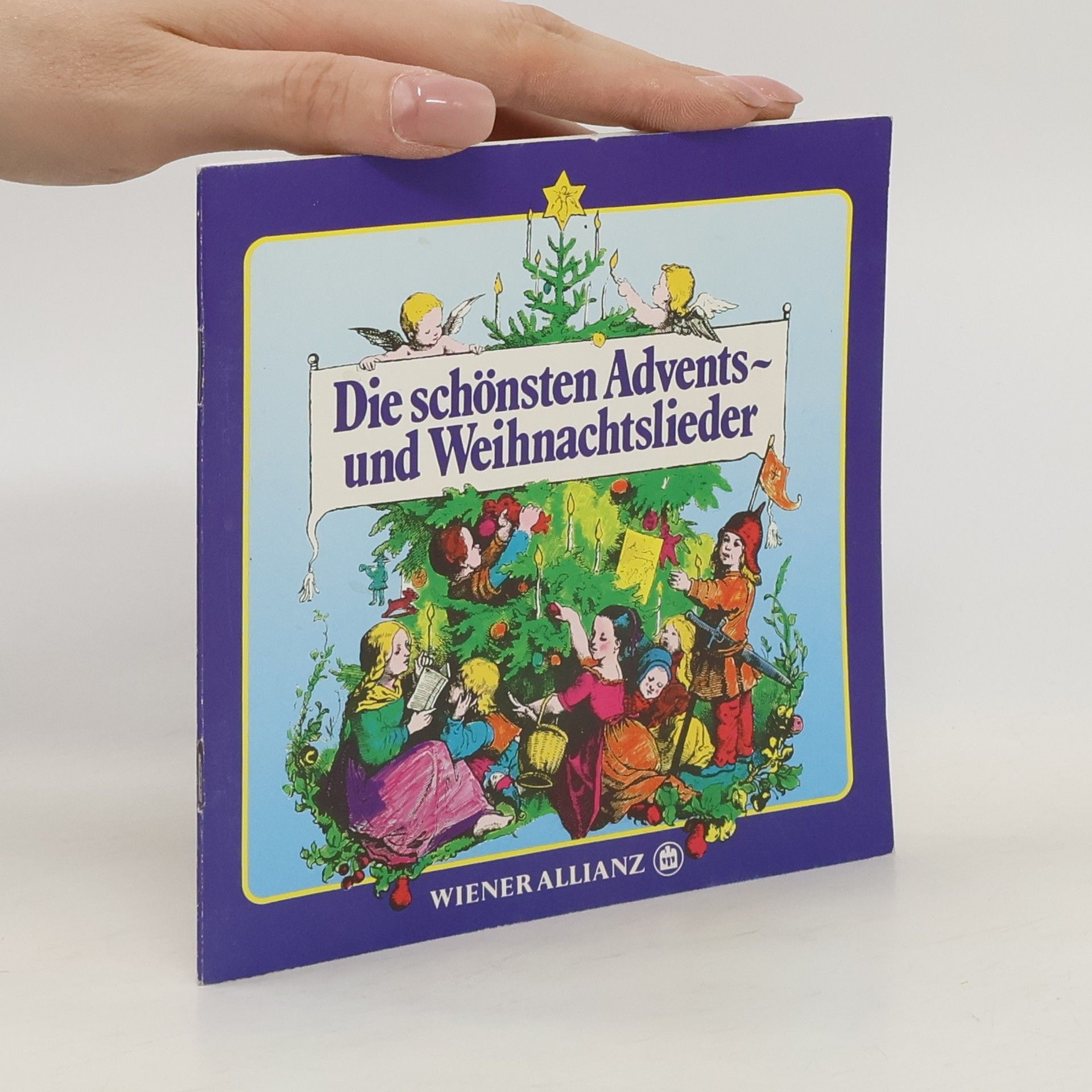 Collectif d'auteurs Die schönsten Advents-und Weihnachtslieder