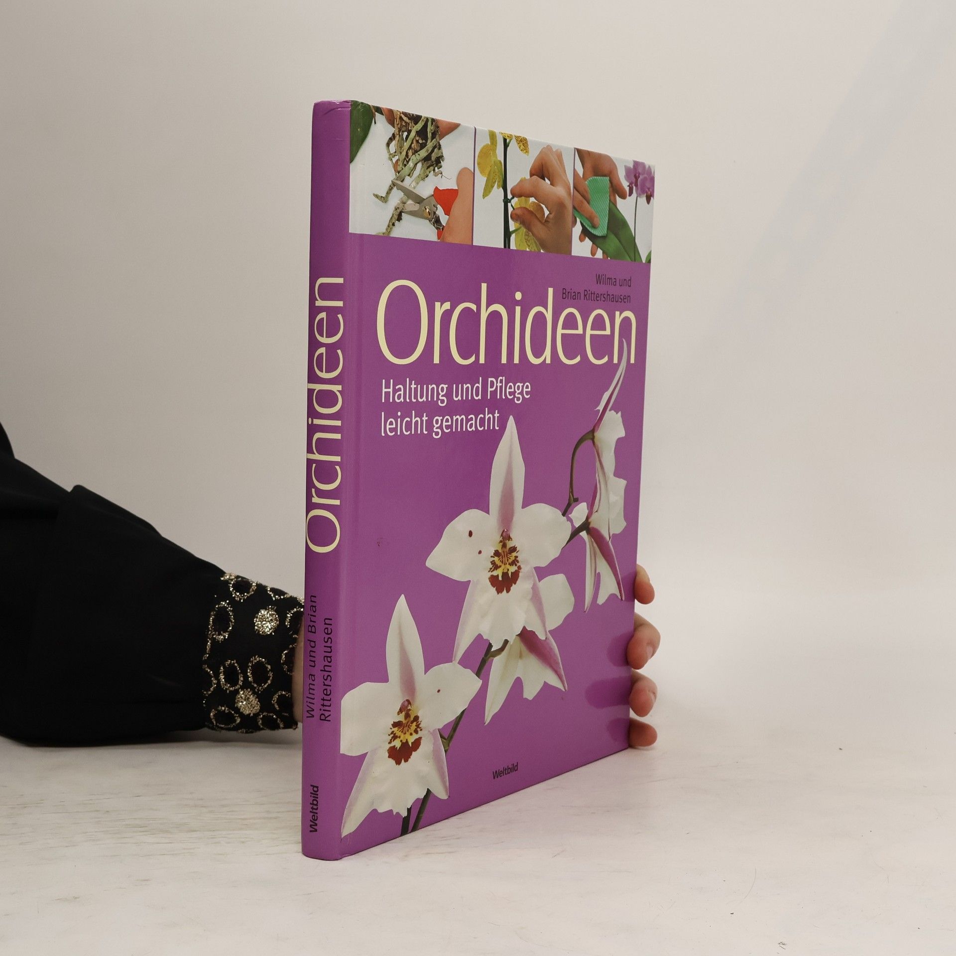 Wilma Rittershausen Orchideen