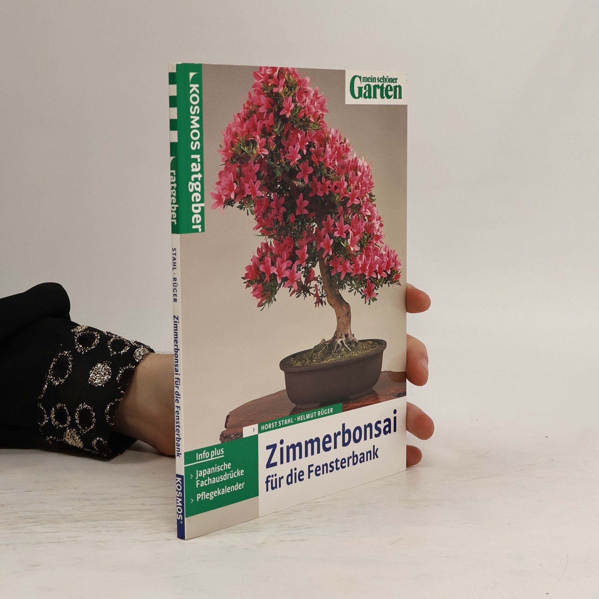 Horst Stahl Zimmer-Bonsai für die Fensterbank
