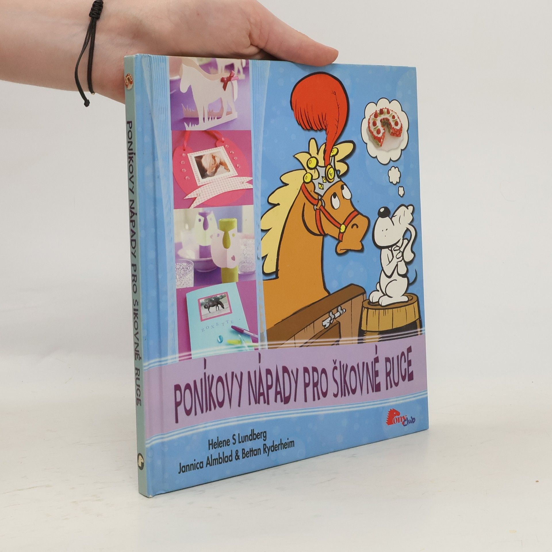 Helene S. Lundberg Poníkovy nápady pro šikovné ruce
