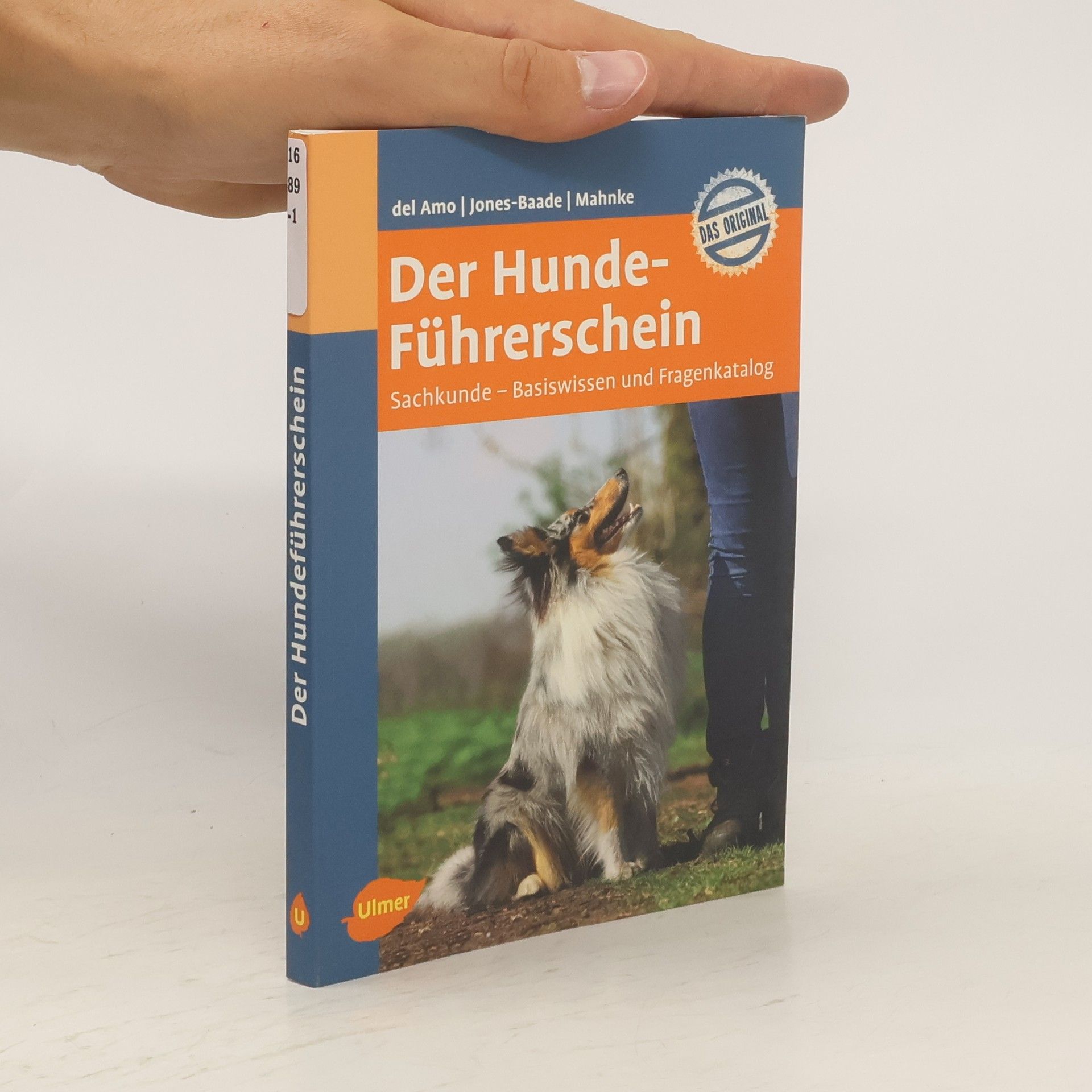 Celina Del Amo Der Hundeführerschein